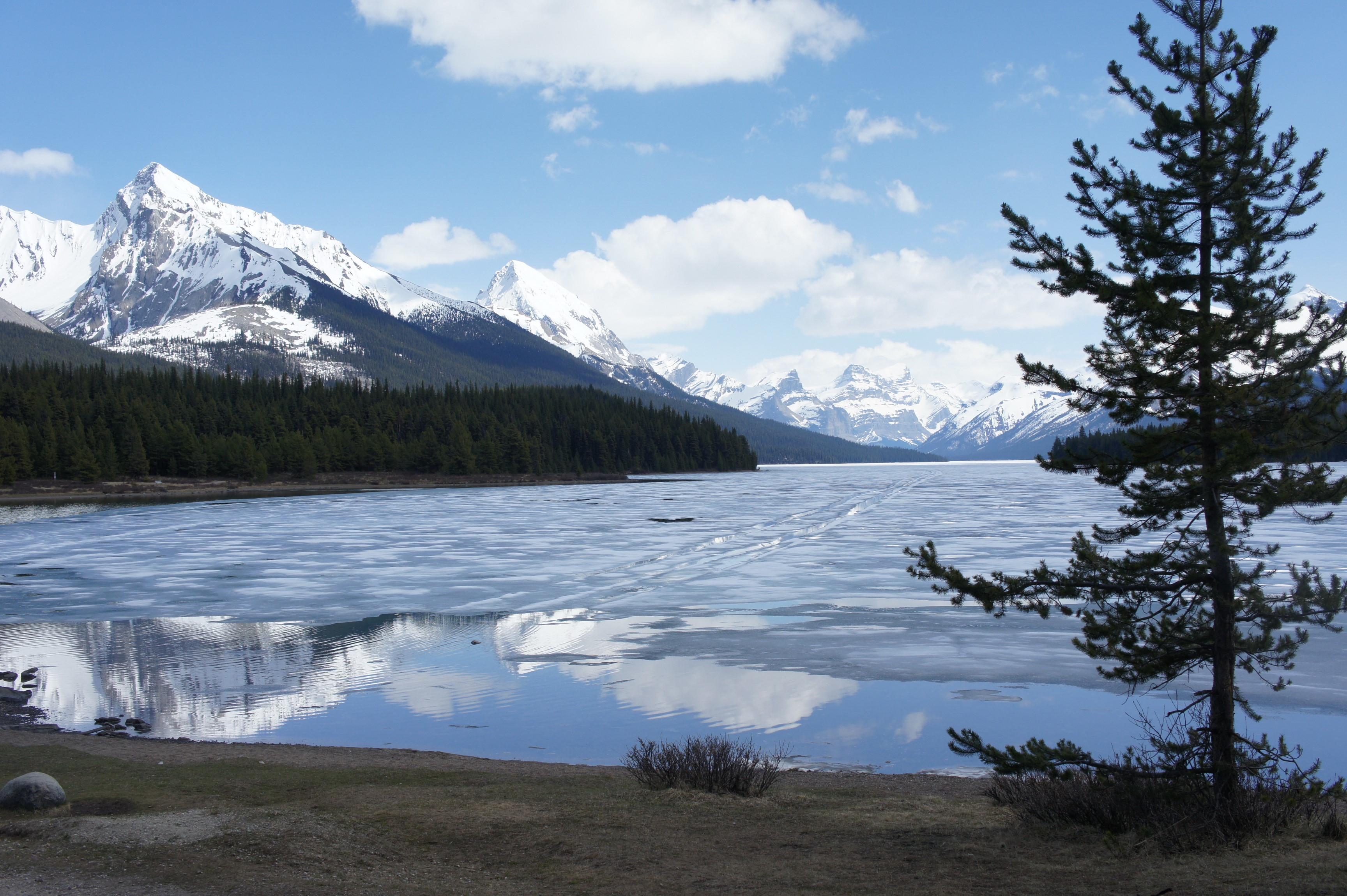 Maligne Lake in Jasper National Park, Canada HD Wallpaper
