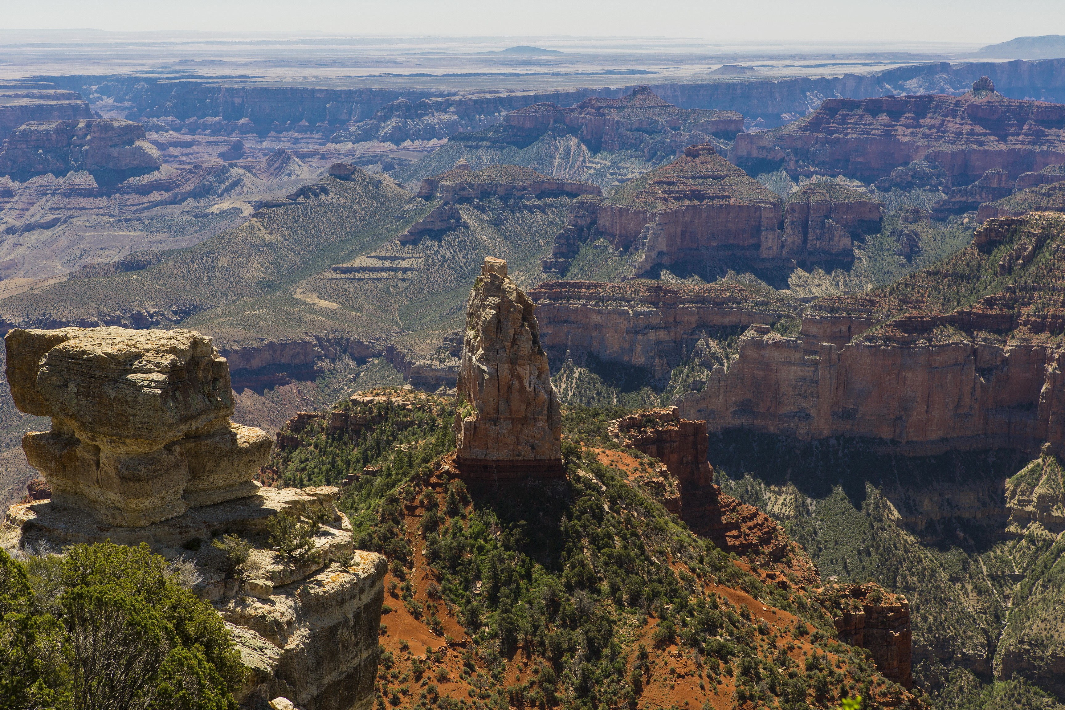 Grand Canyon National Park, Arizona, USA HD Wallpaper