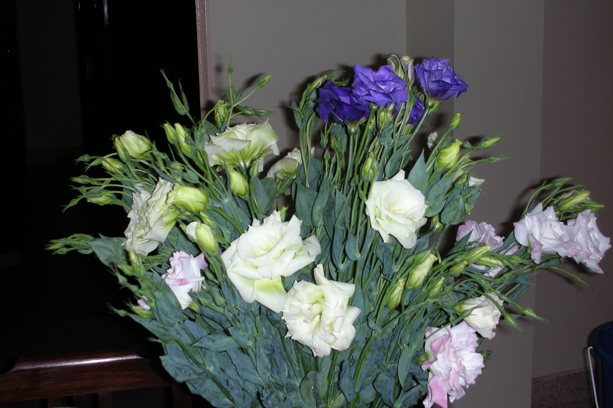 Bouquets of Lisianthus Flowers HD Wallpaper