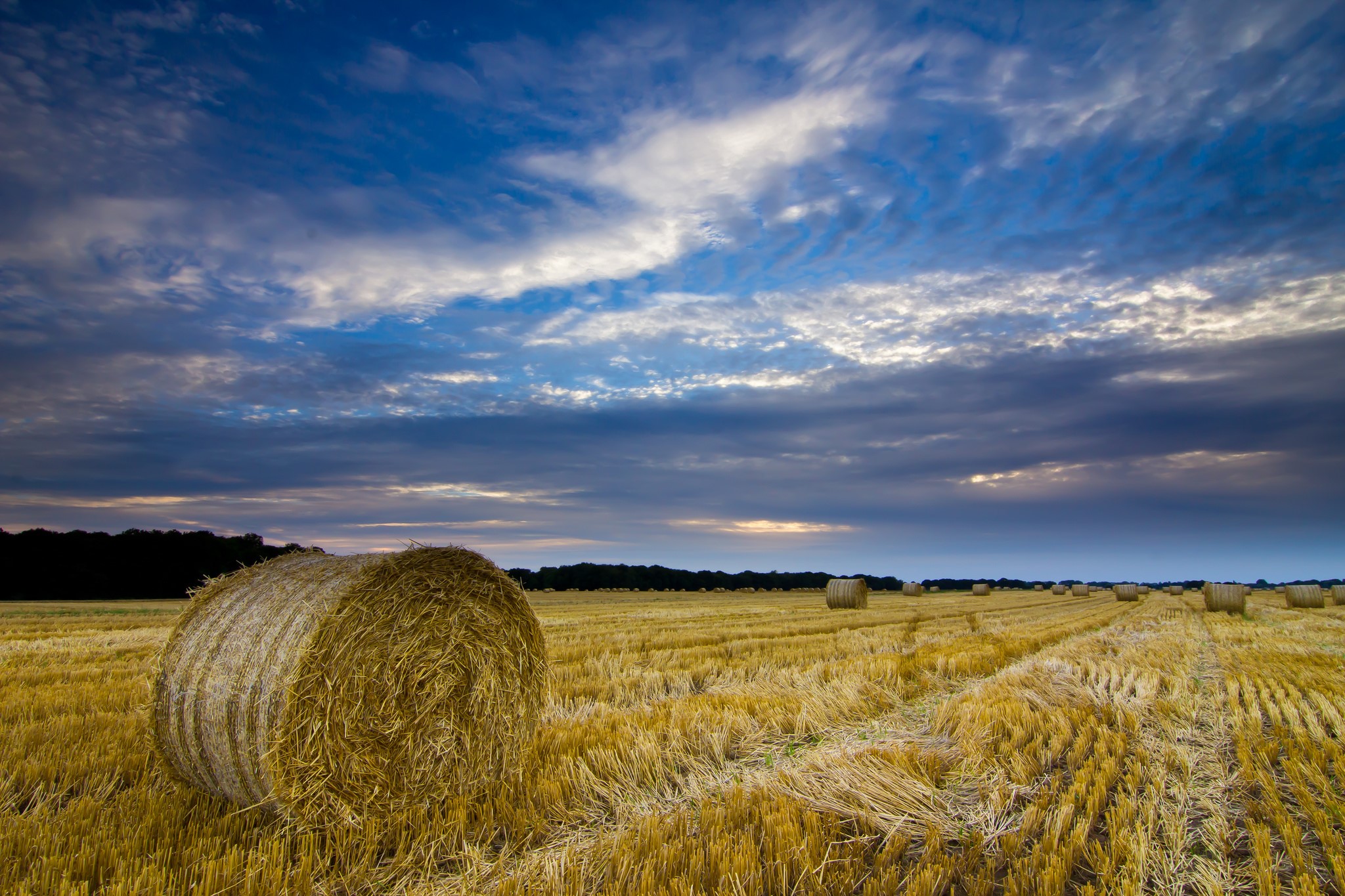 Hay bales in a field under a cloudy sky HD Wallpaper