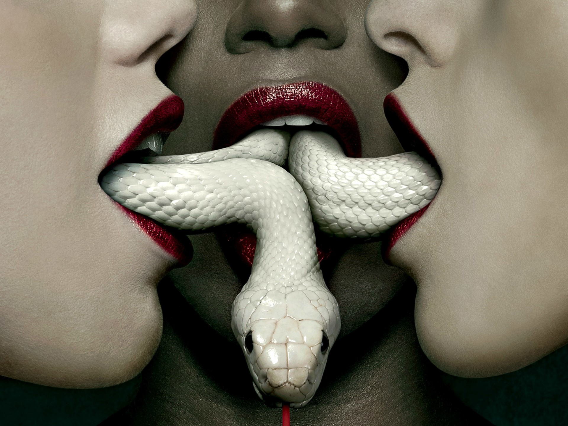 American Horror Story: Snakes and Lips HD Wallpaper