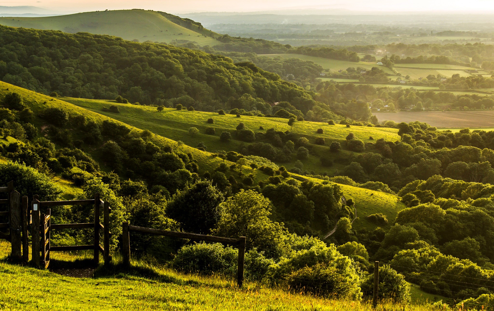 Rolling green hills and trees in Pyecombe, West Sussex, England HD Wallpaper
