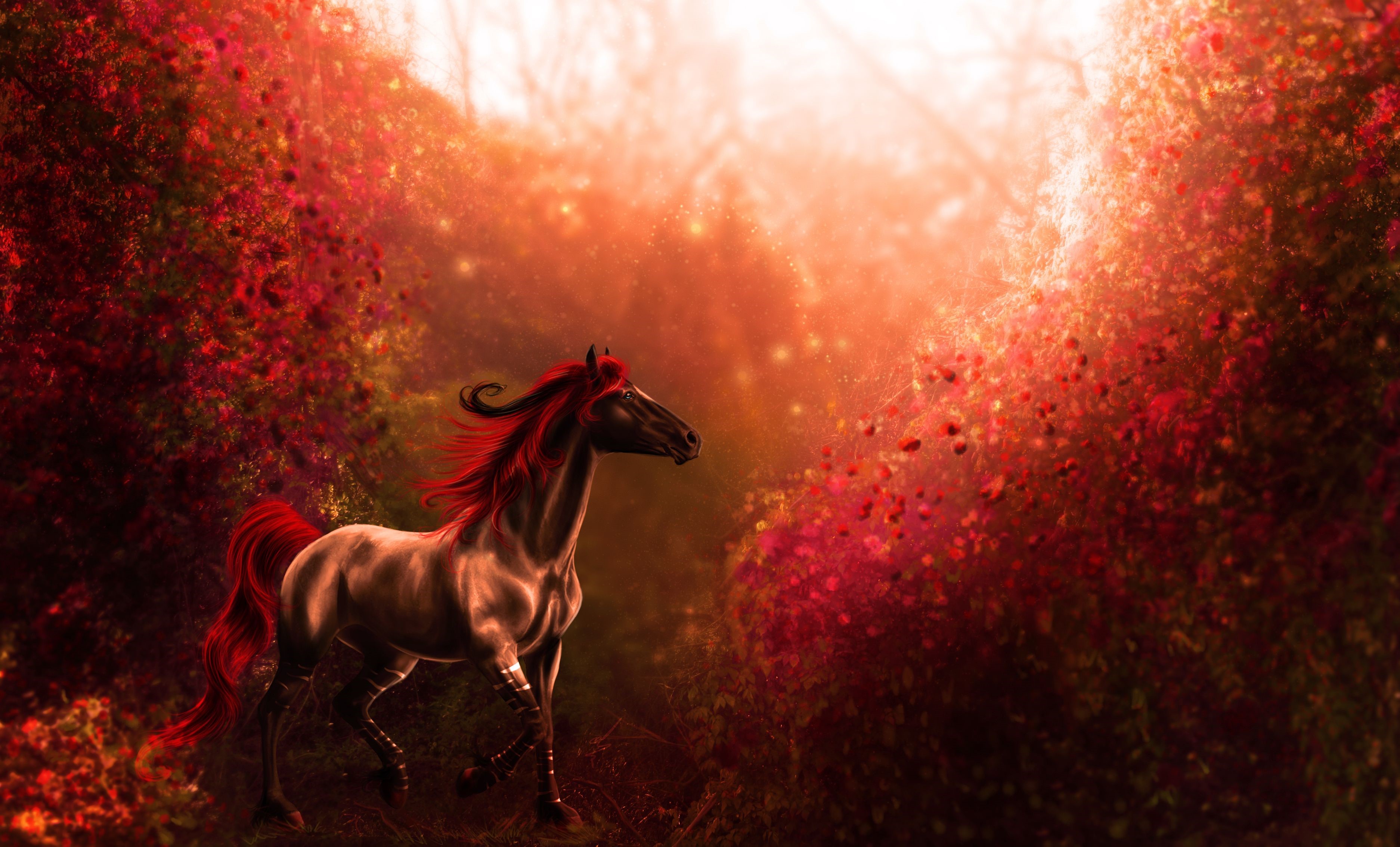 A horse with a red mane and tail in a forest HD Wallpaper