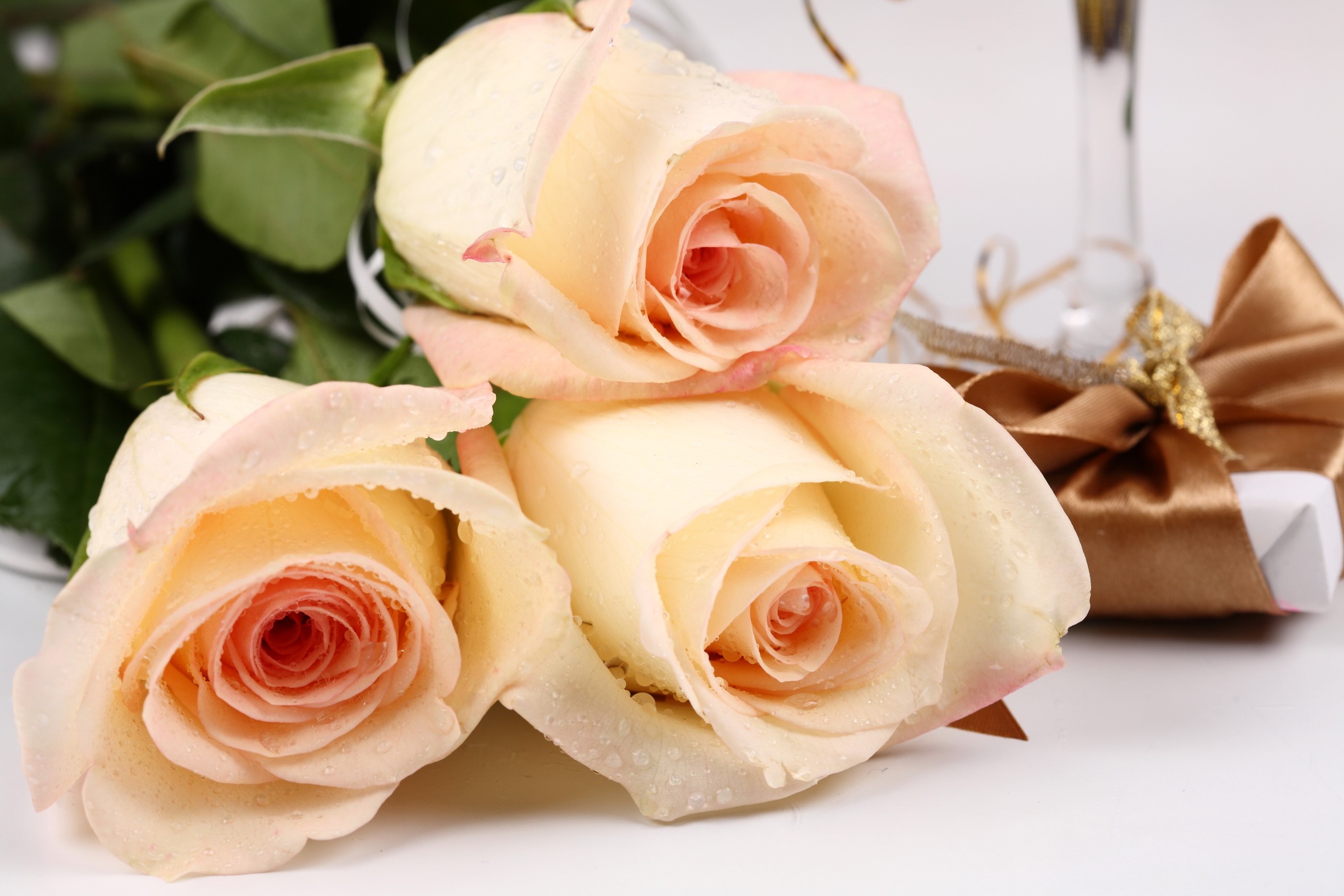 Three light pink roses with a gift box HD Wallpaper