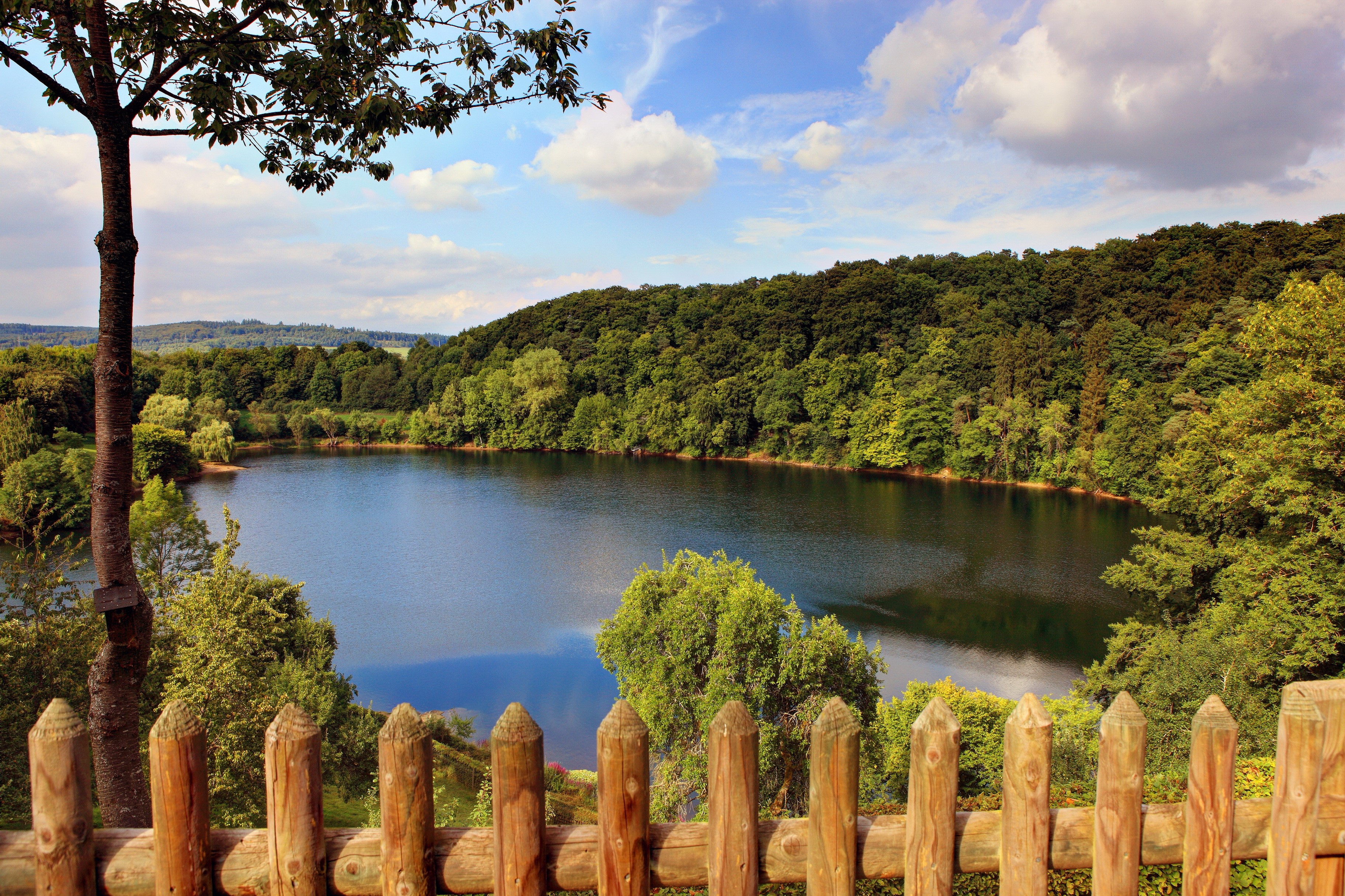 Lake surrounded by trees with a wooden fence in the foreground HD Wallpaper
