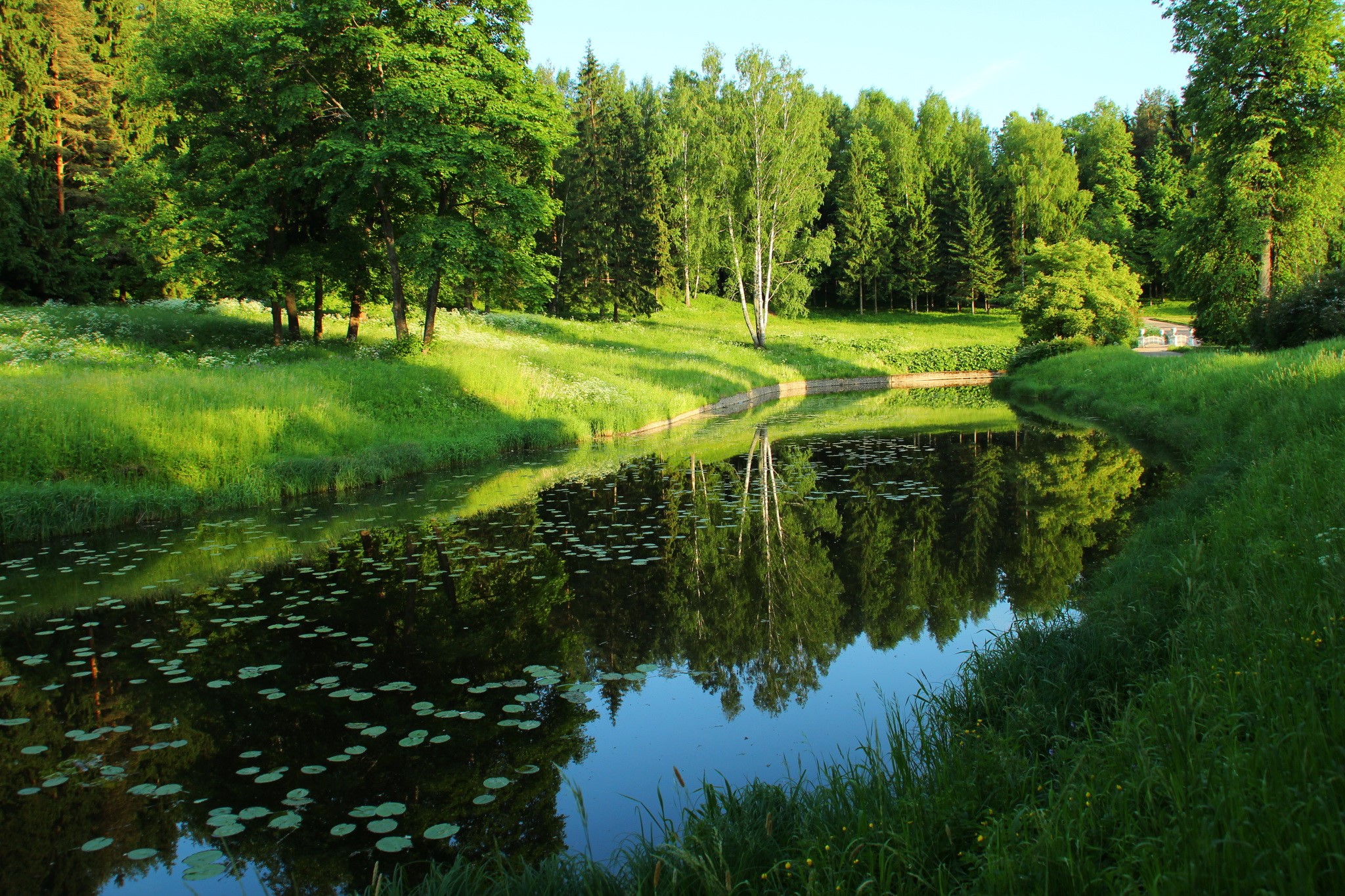 River and trees in a park in St. Petersburg, Russia HD Wallpaper