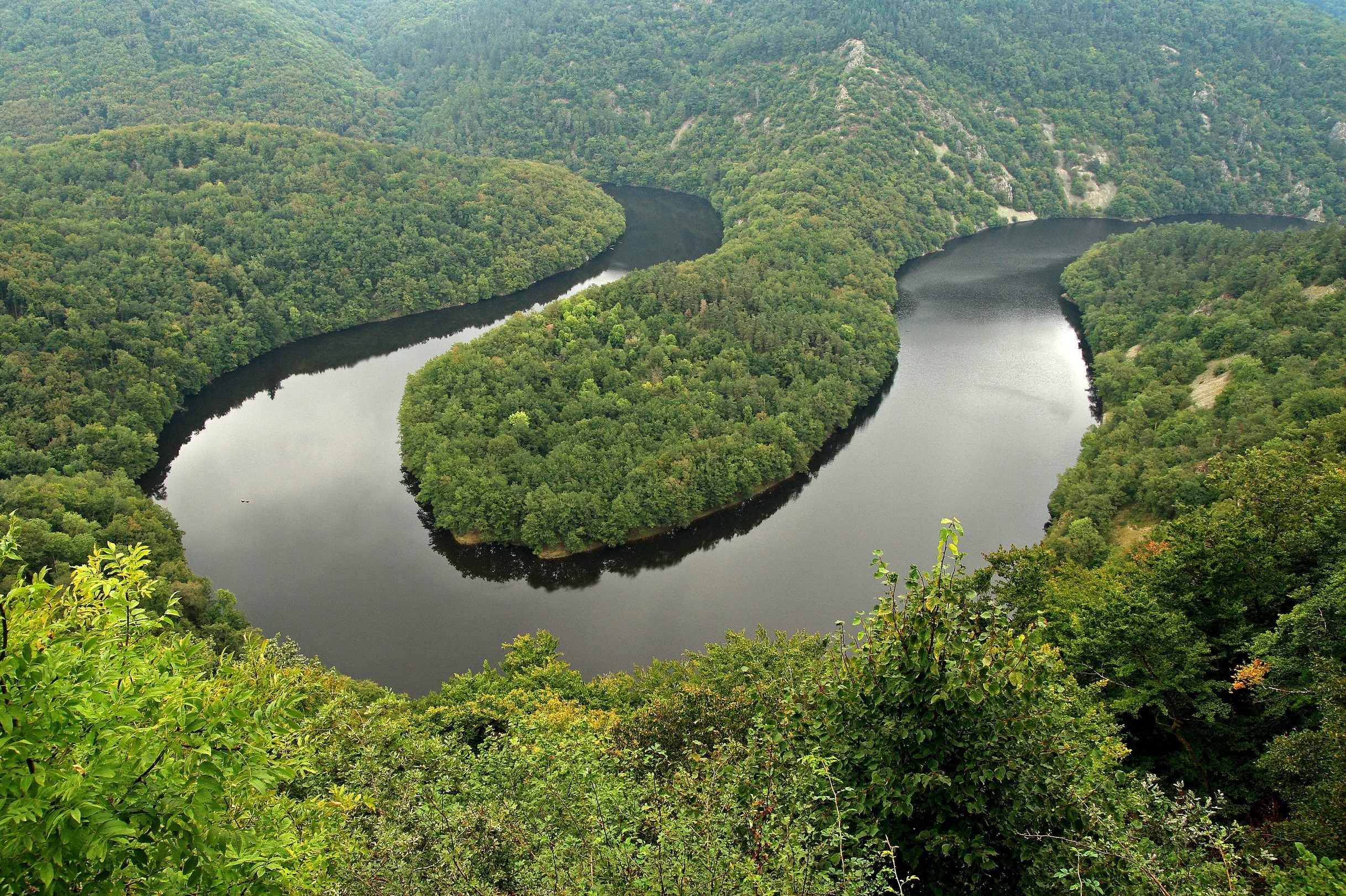 River bend through a dense forest from above HD Wallpaper