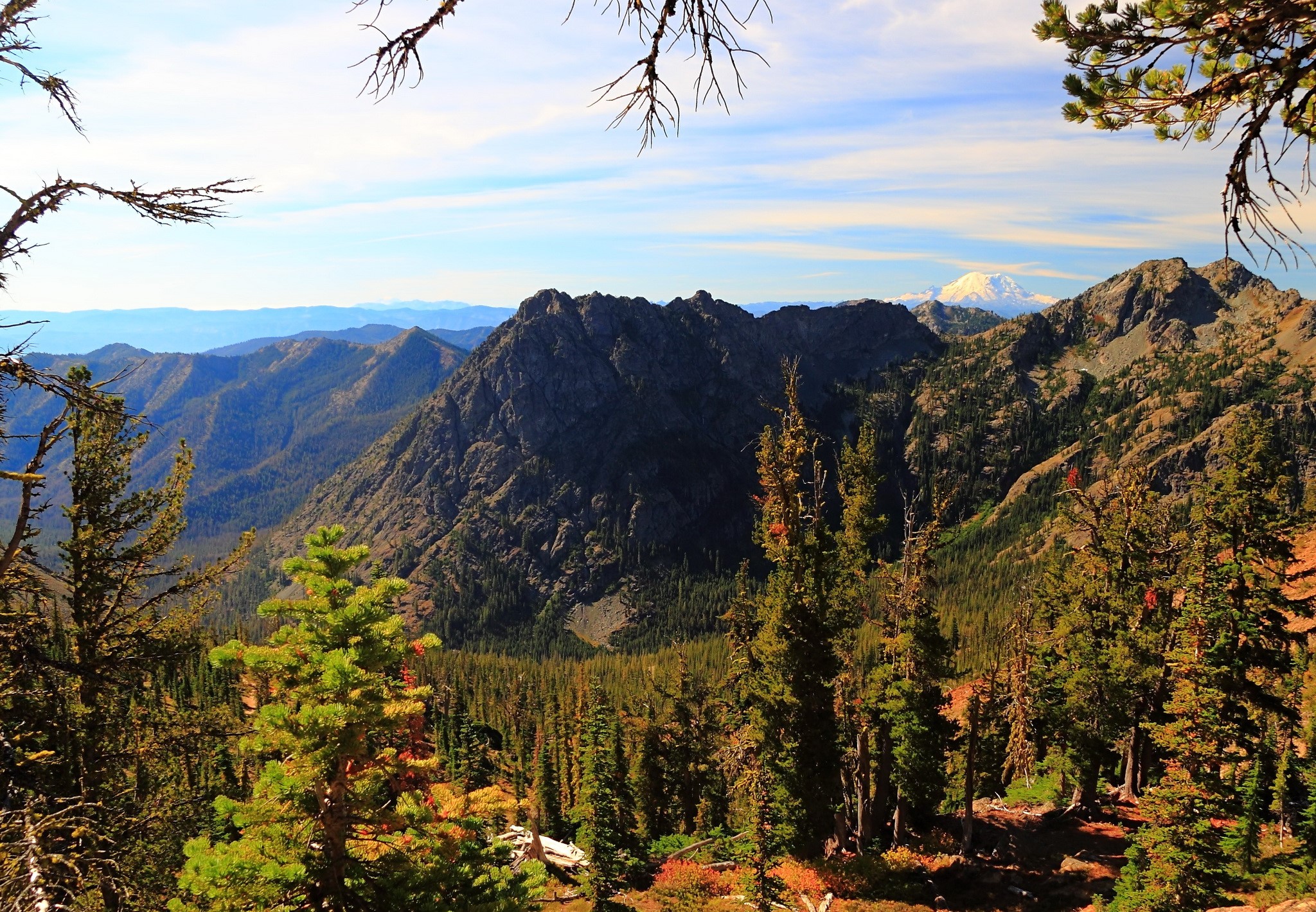 Mountains and Forests in the USA HD Wallpaper
