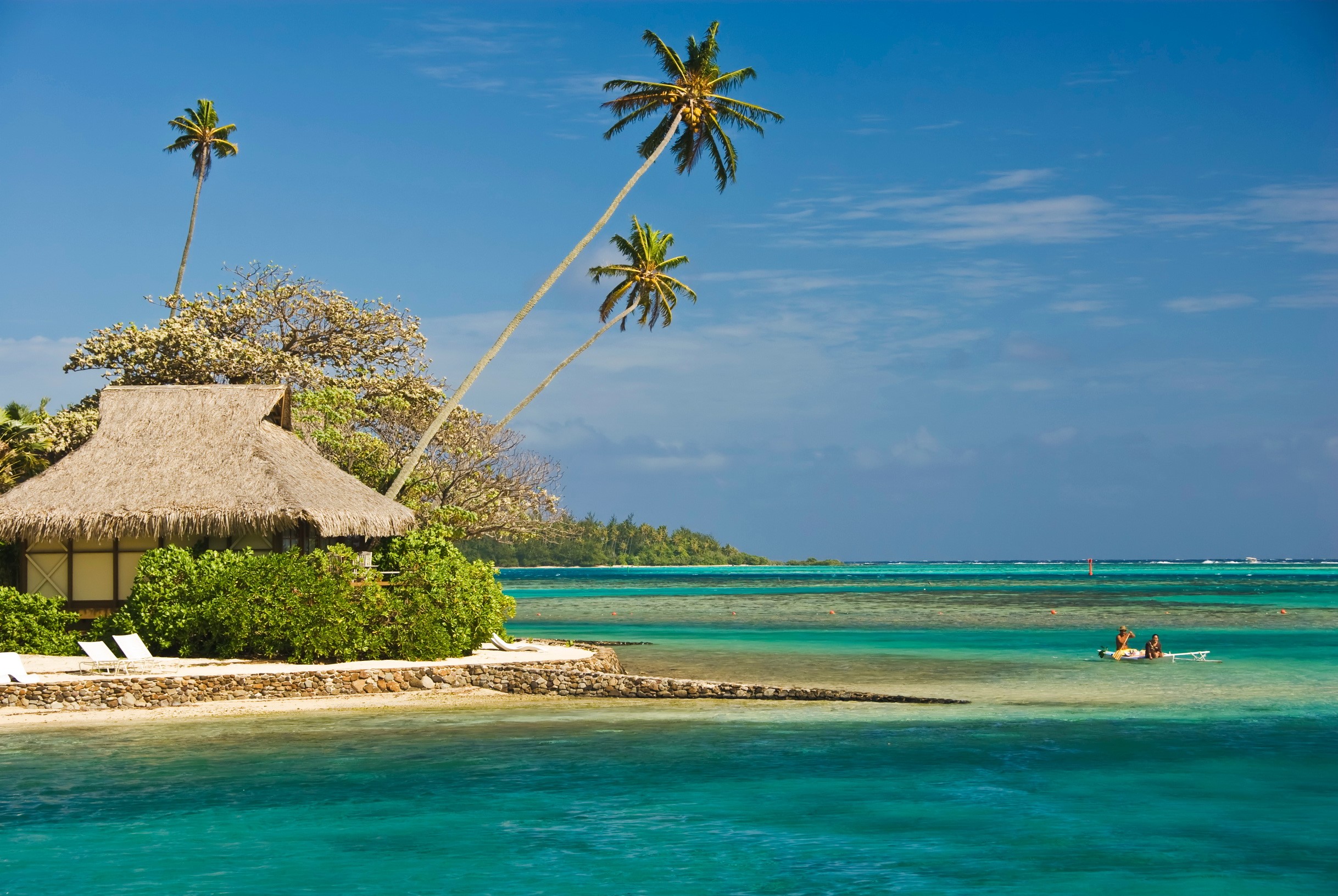 Bungalow on a tropical island with palm trees and turquoise water HD Wallpaper