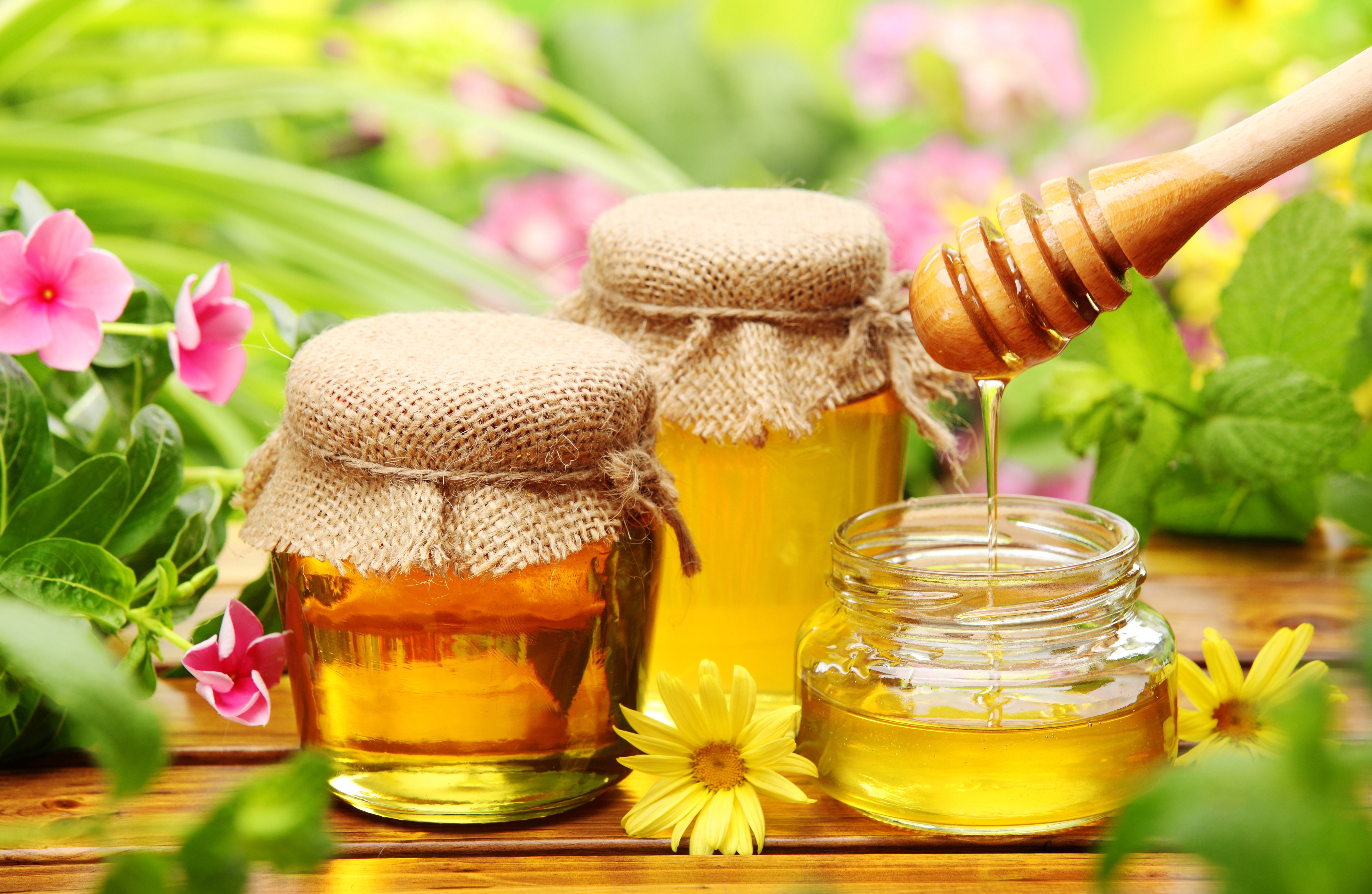 Honey Jars with Honey Dipper and Flowers HD Wallpaper