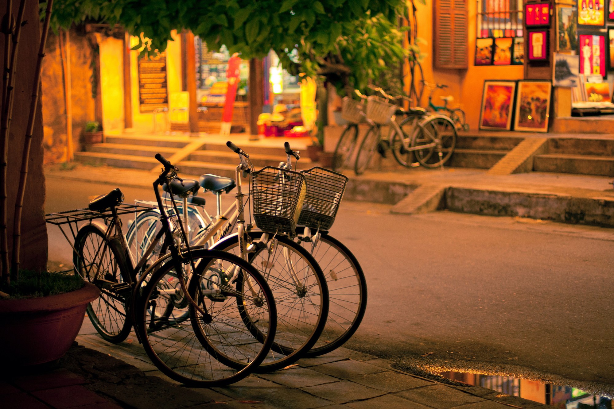 Bicycles parked on a street at night HD Wallpaper