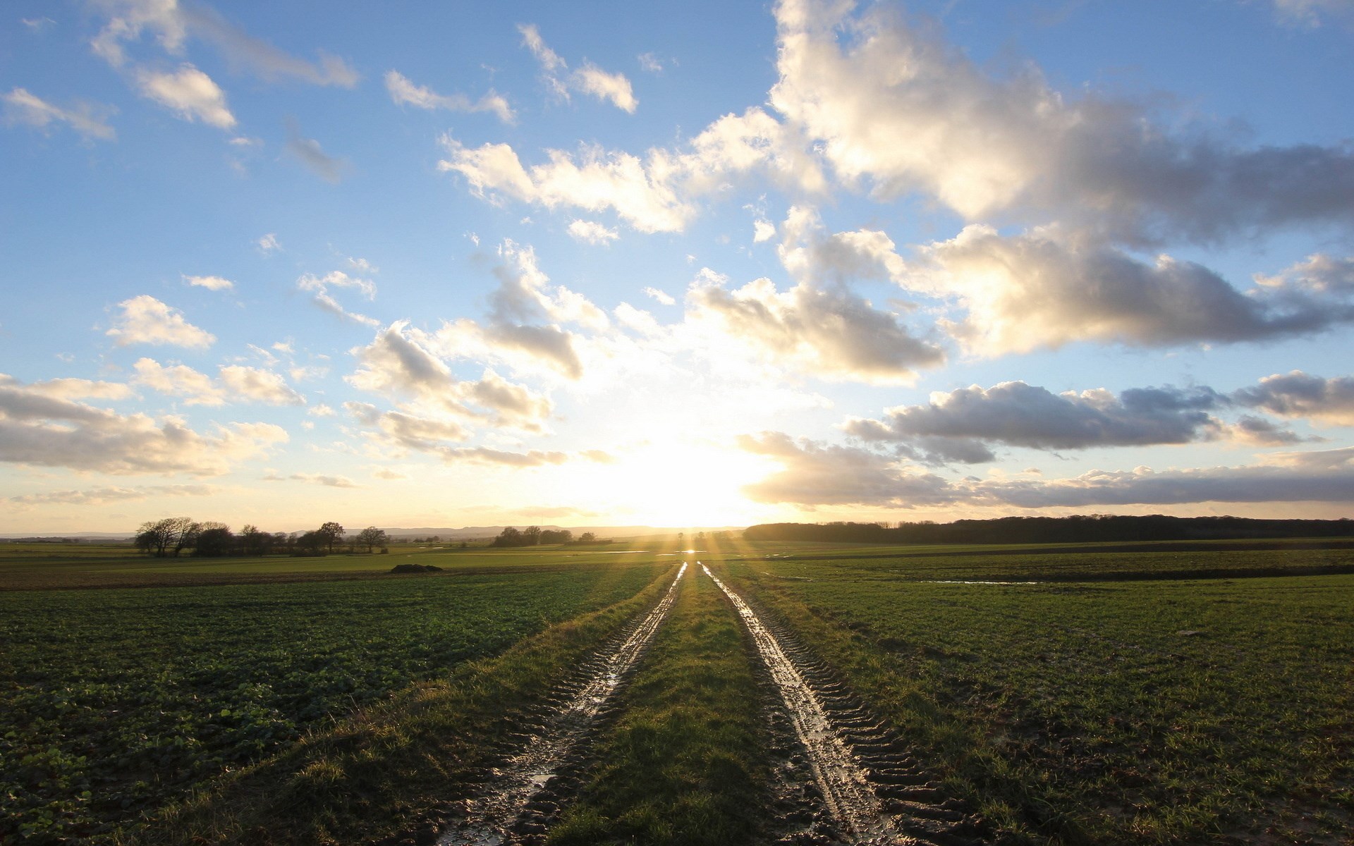 Tire tracks in a field at sunset HD Wallpaper