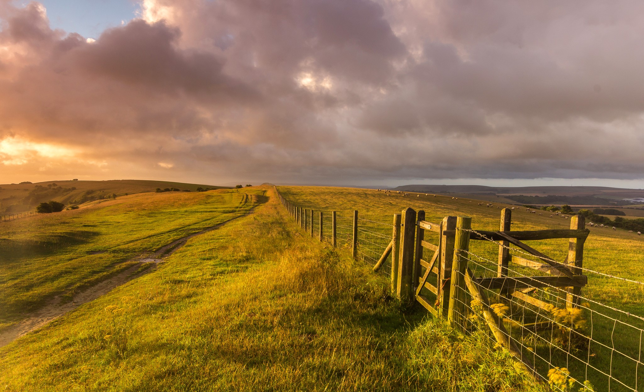 Rolling Grasslands with Fence and Dramatic Clouds at Sunset HD Wallpaper