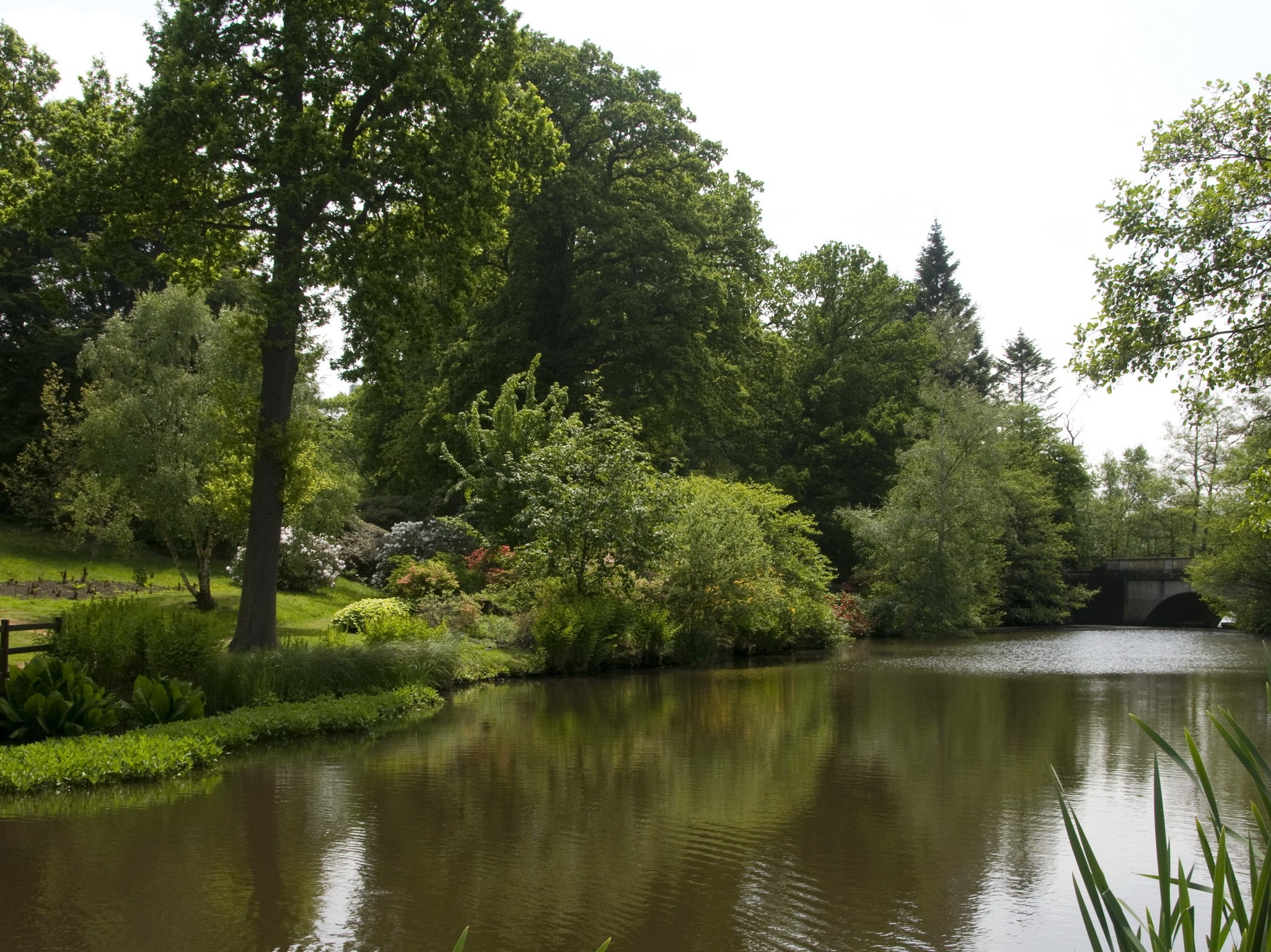 A tranquil lake surrounded by lush green trees and a stone bridge HD Wallpaper