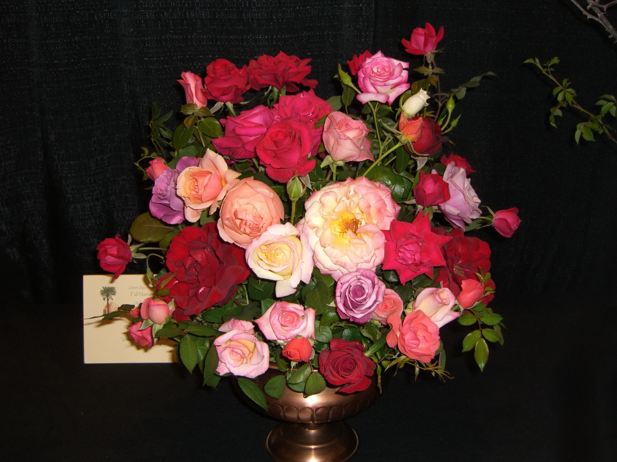 Bouquet of Roses HD Wallpaper