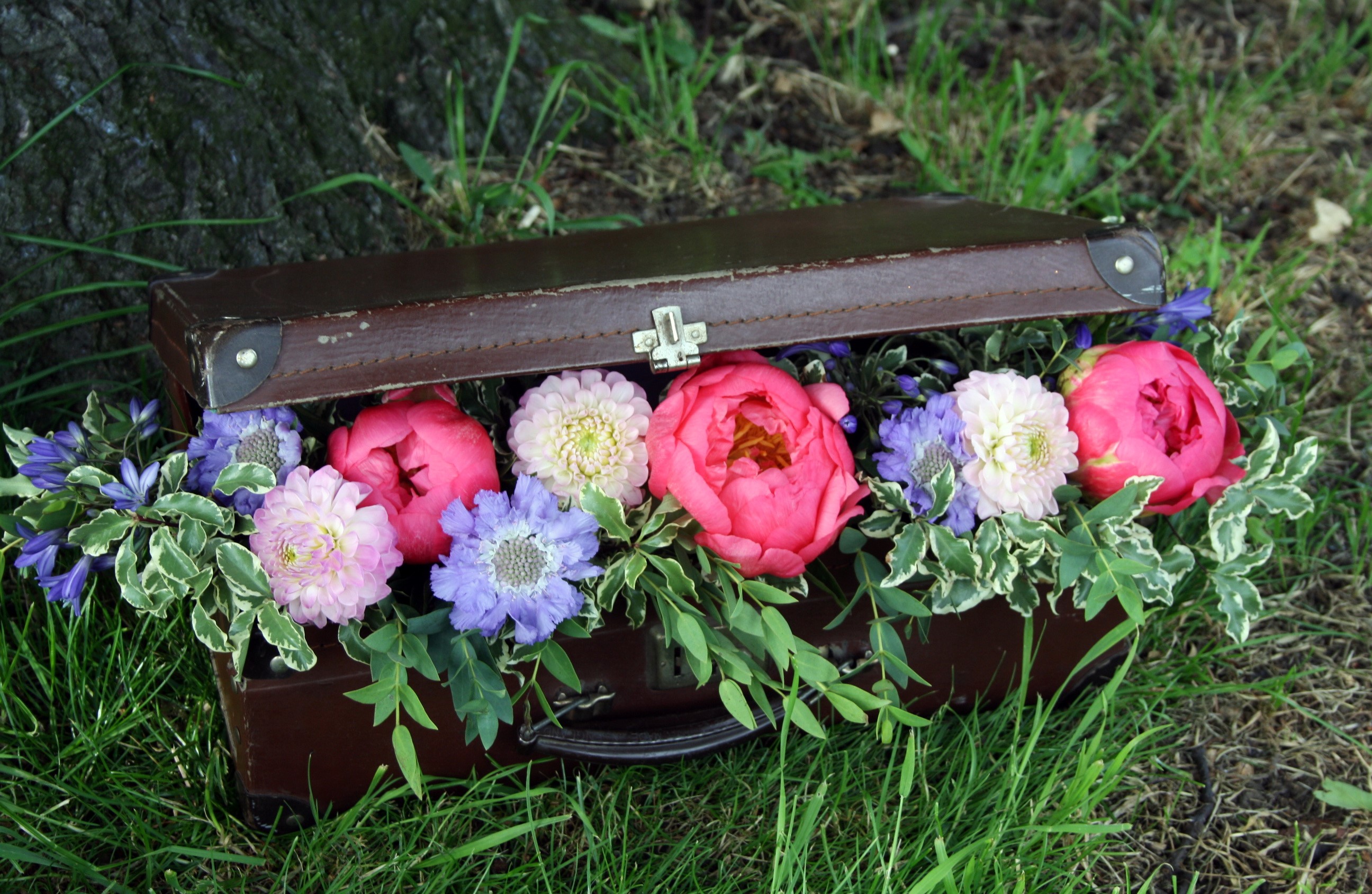 Flowers in a vintage suitcase HD Wallpaper
