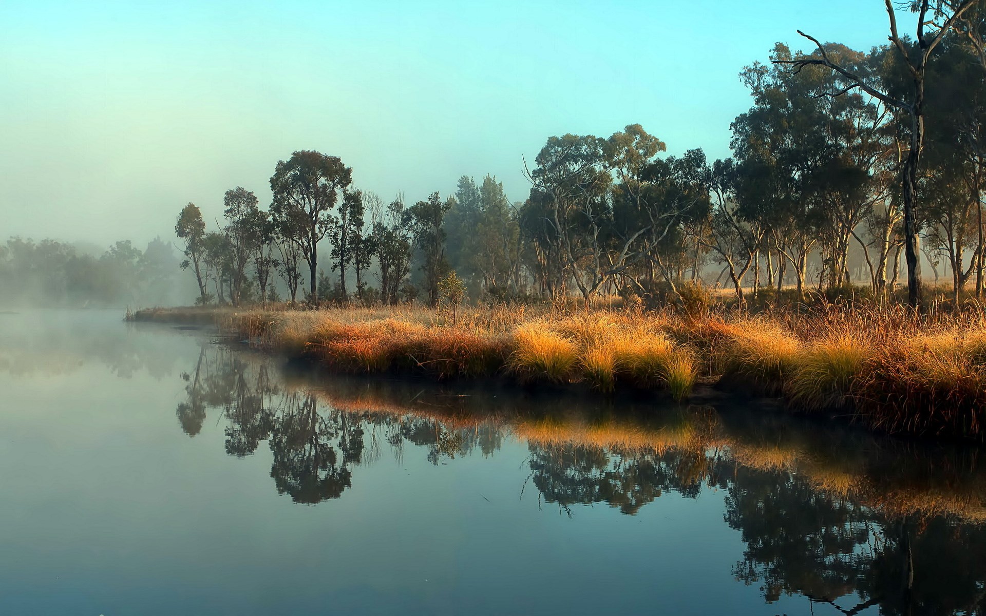 Misty riverbank with trees and reflections HD Wallpaper