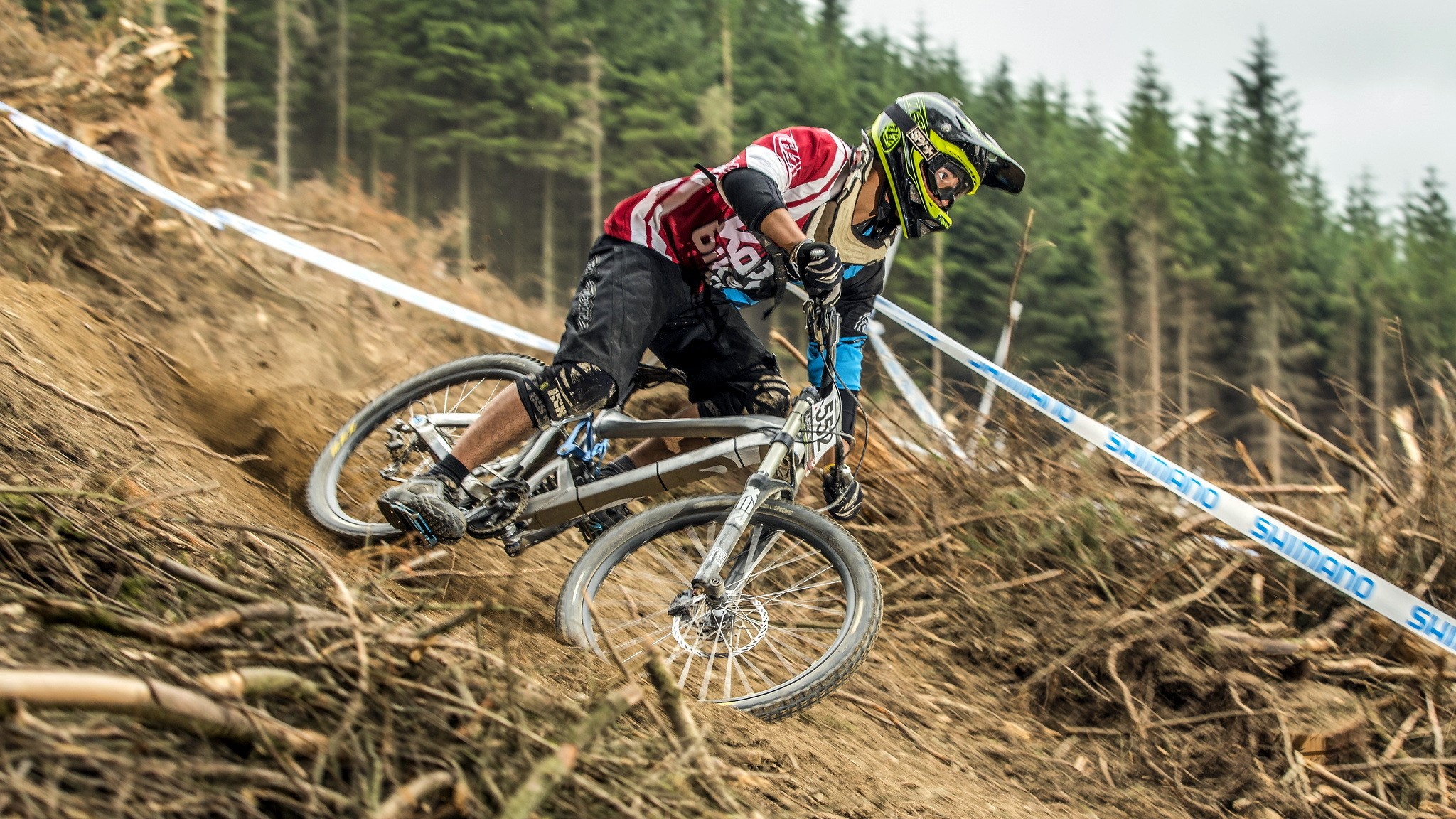 Mountain biker racing downhill through a forest course HD Wallpaper