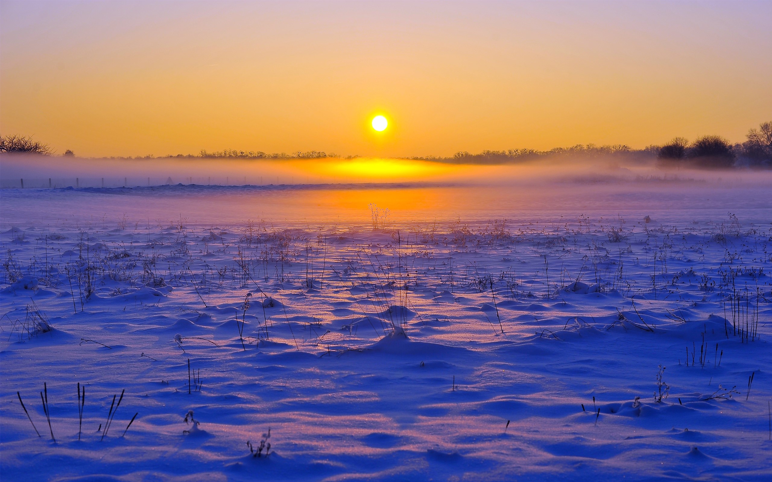 Winter sunrise over a snowy field with fog HD Wallpaper