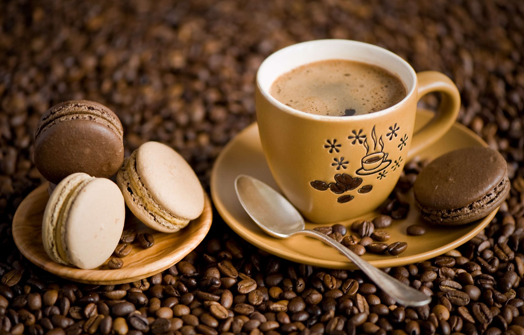 Coffee cup with macarons and spoon on coffee beans HD Wallpaper