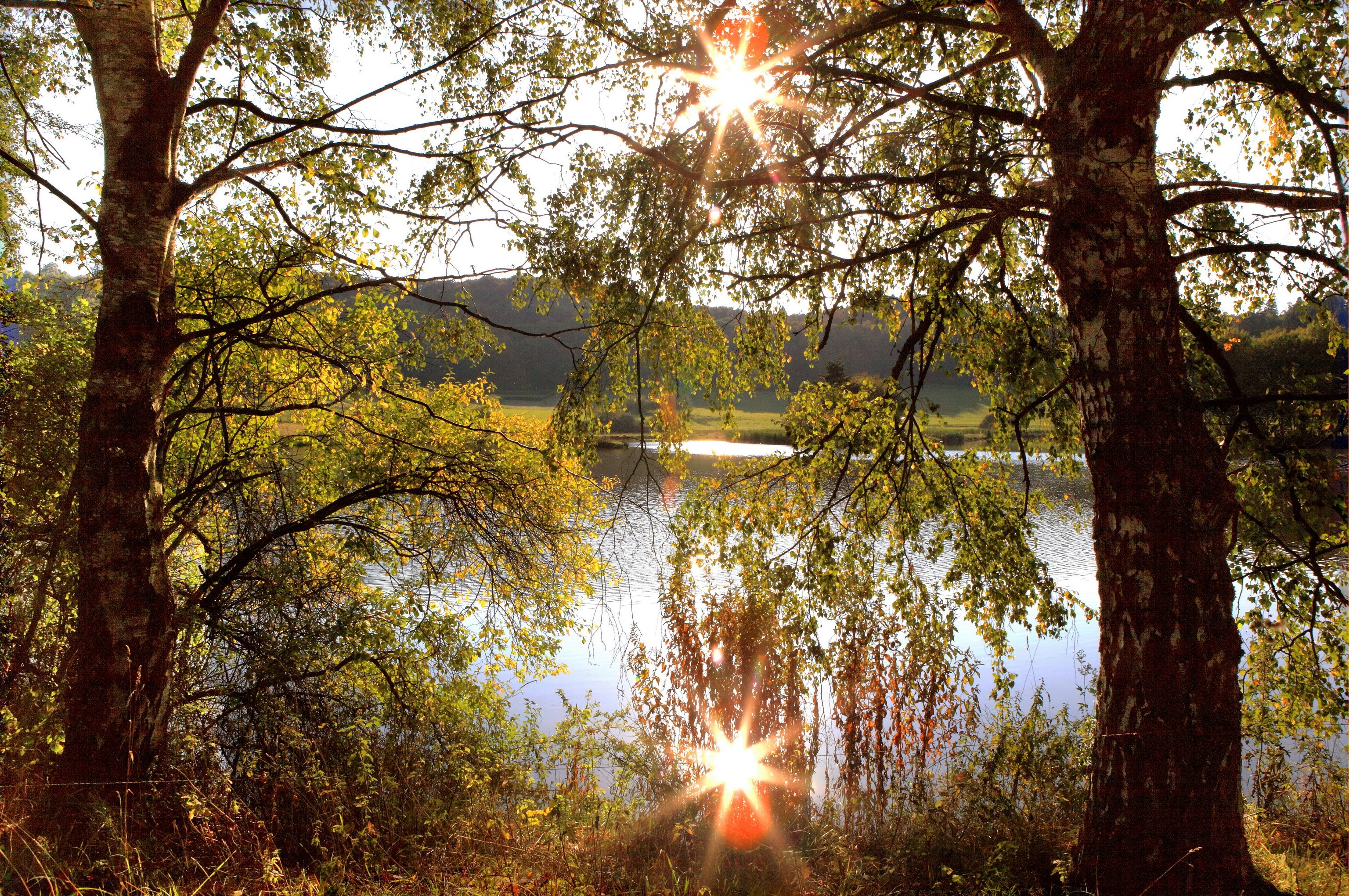 Sunlight through trees by a lake in Germany HD Wallpaper