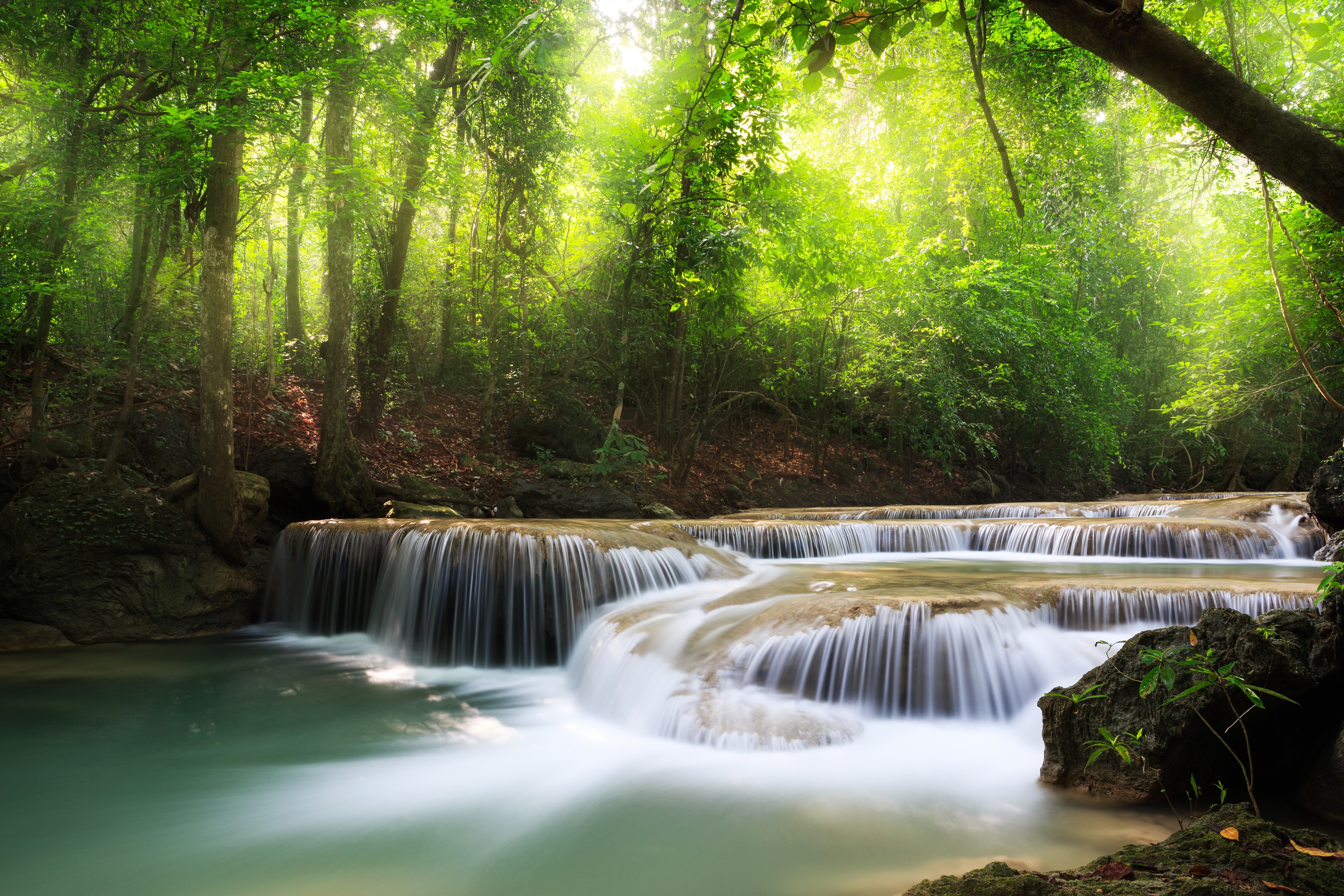 Waterfalls in a Lush Green Forest HD Wallpaper
