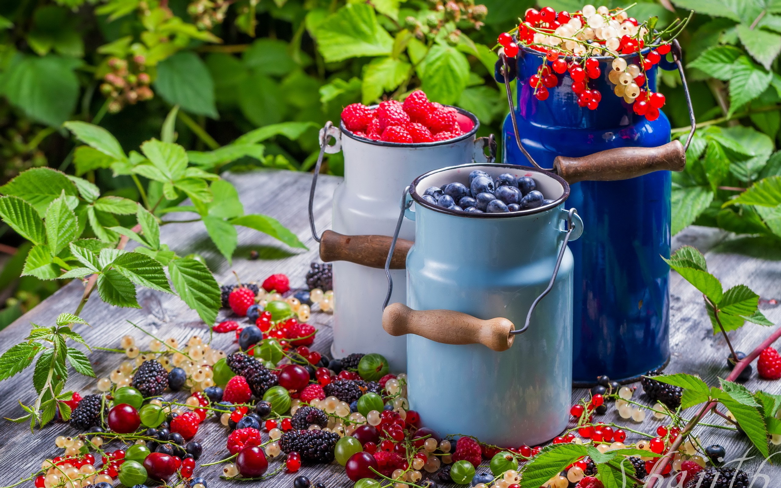 Berries in milk cans on a wooden table HD Wallpaper