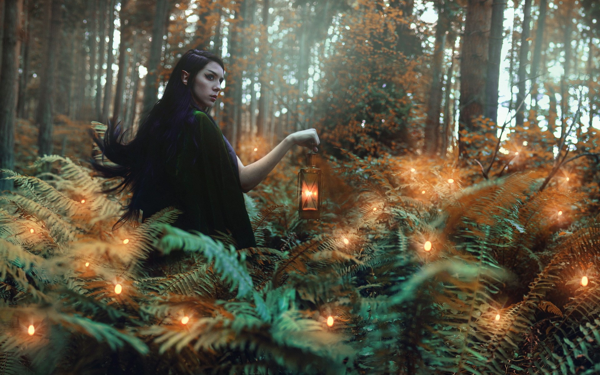Elf woman holding lantern in a magical forest HD Wallpaper