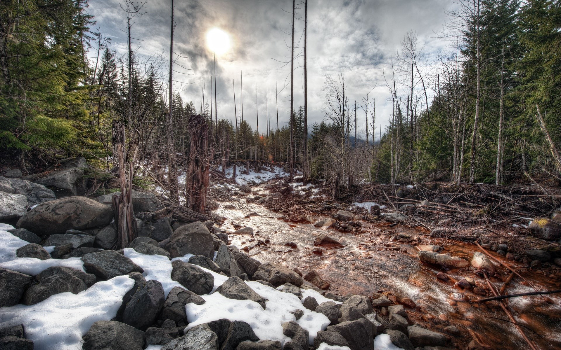 Rocky stream bed in a forest with snow HD Wallpaper