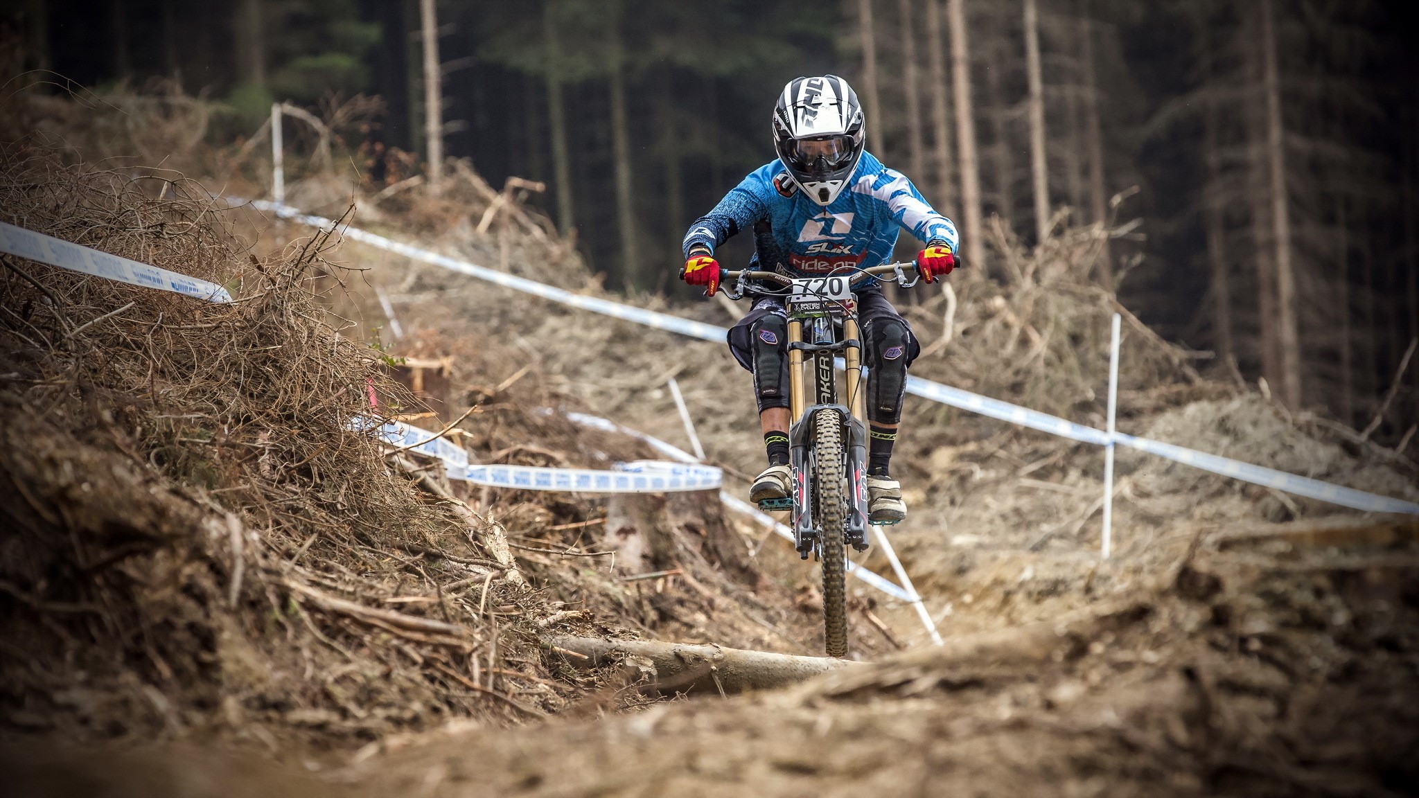 Downhill mountain biker on a wooded course HD Wallpaper