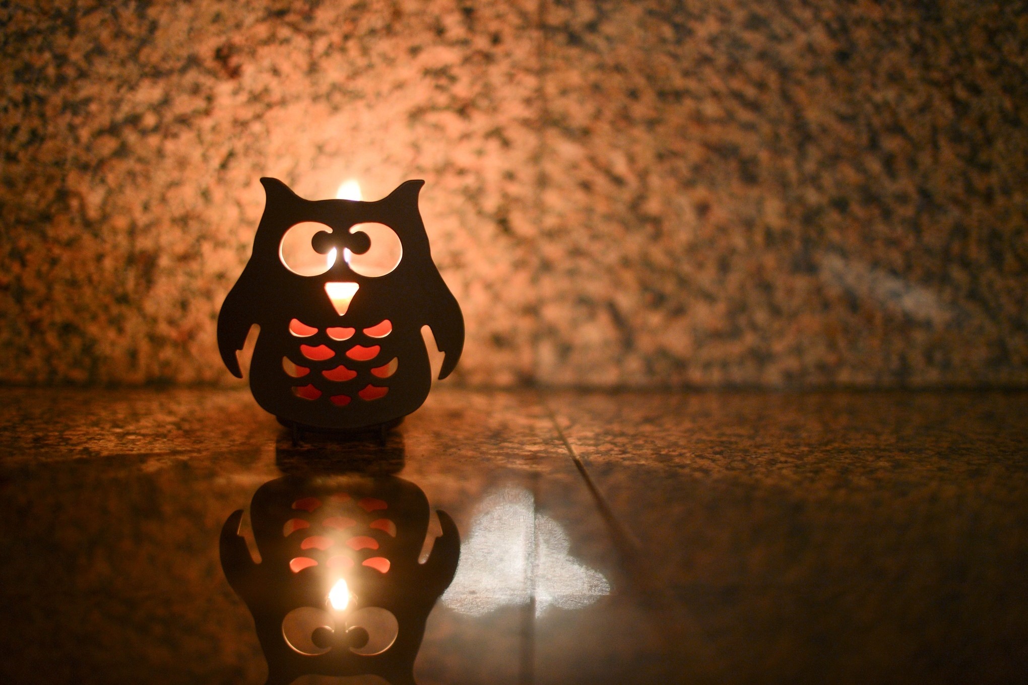 Owl-shaped candle lantern with reflection HD Wallpaper