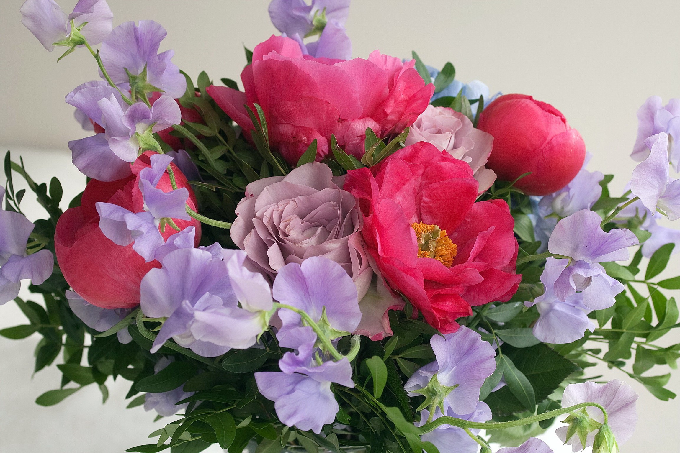 Bouquet of Peonies, Roses, and Sweet Peas HD Wallpaper