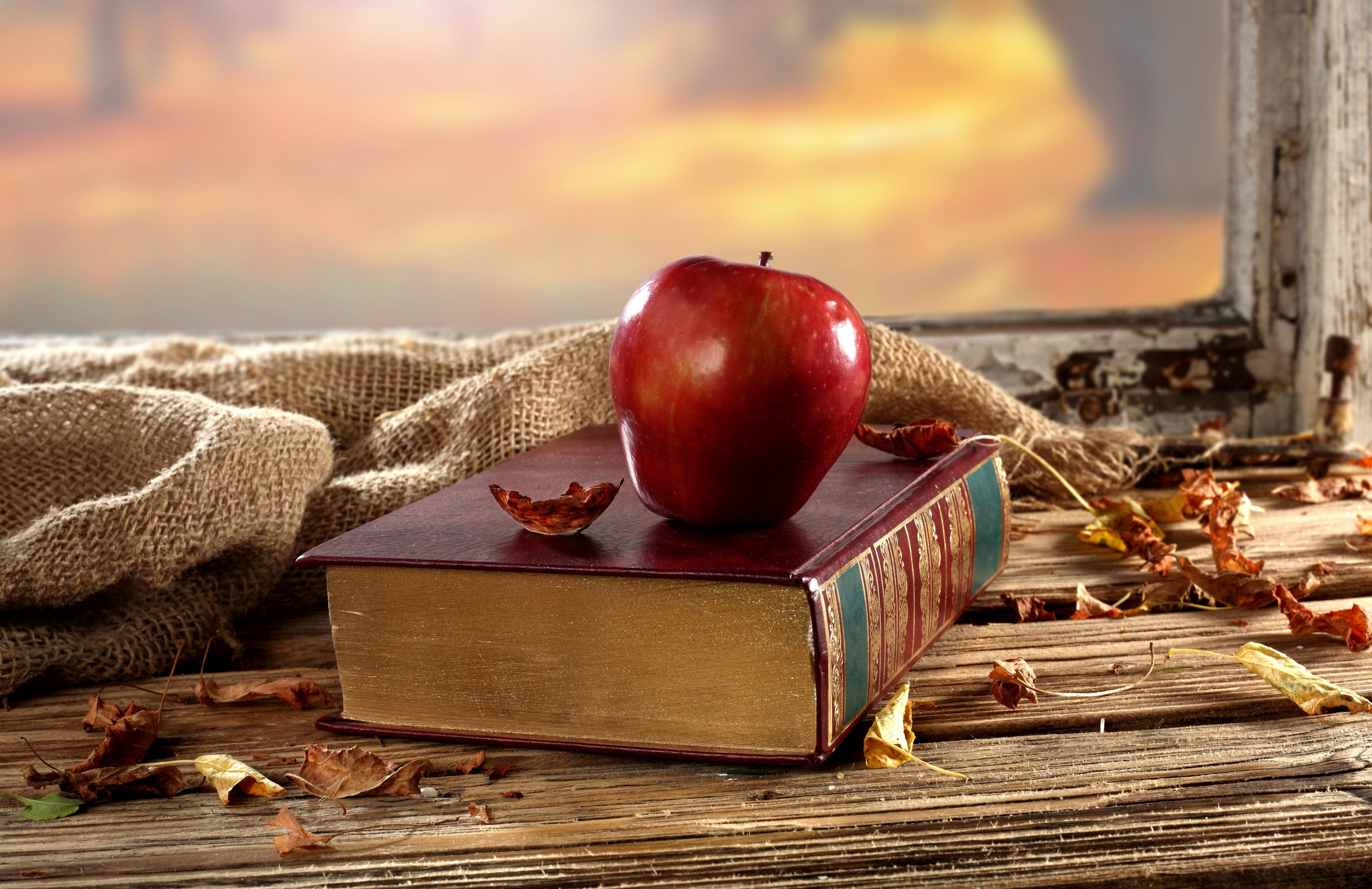 Apple on a book with autumn leaves HD Wallpaper