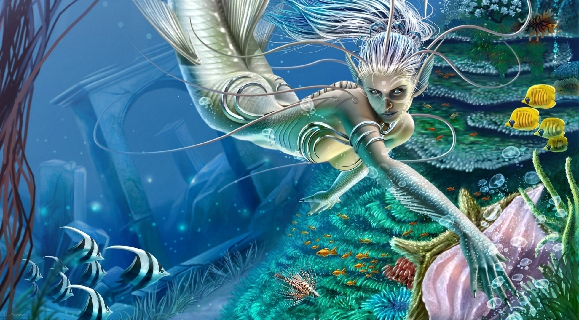 Mermaid swimming in a colorful underwater world with fish HD Wallpaper