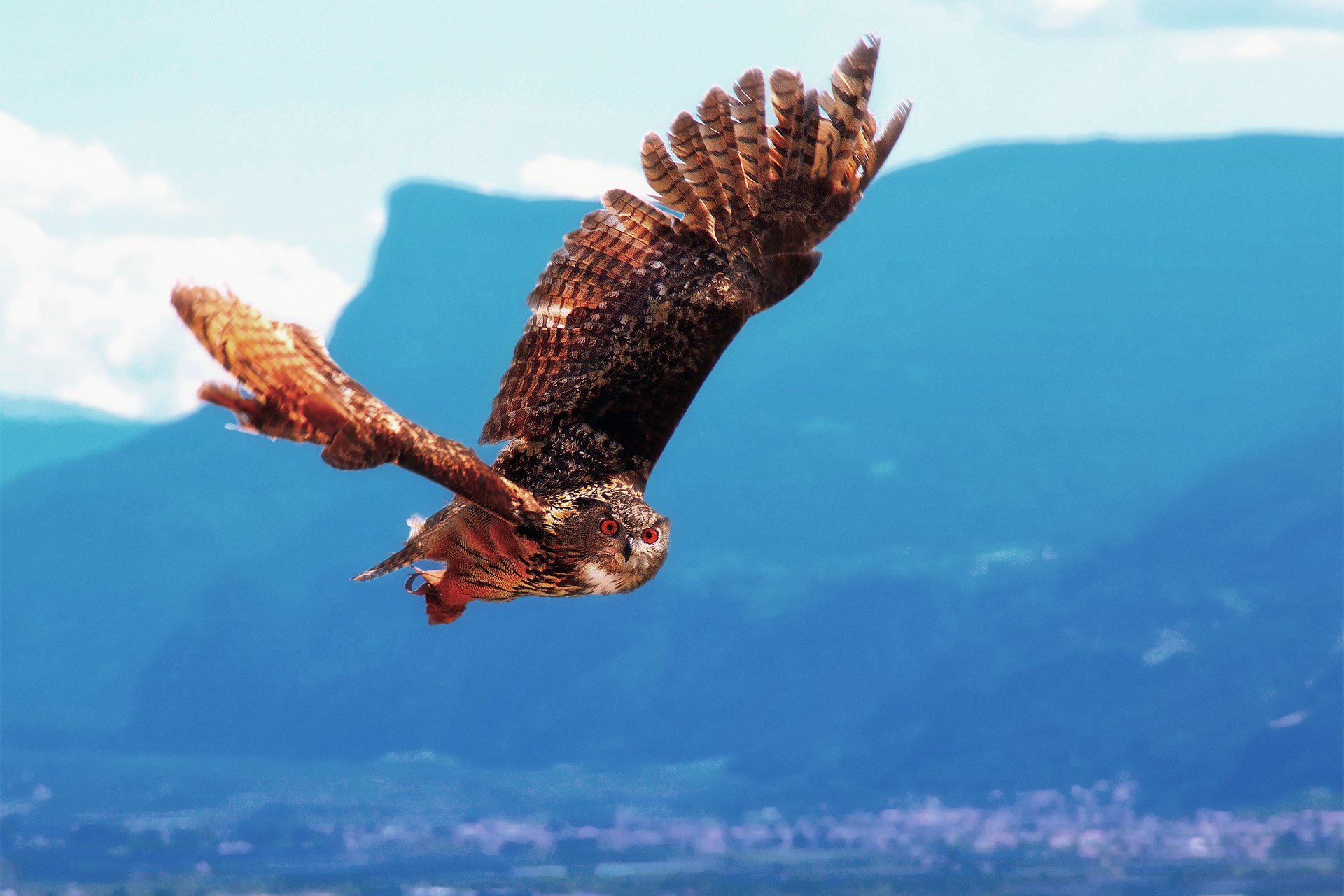 Eurasian Eagle-Owl in flight over mountains HD Wallpaper
