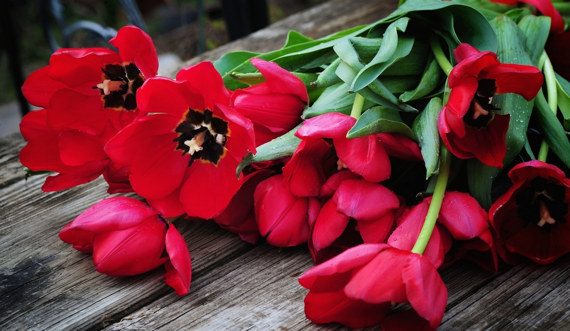 Bouquet of red tulips on a wooden surface HD Wallpaper