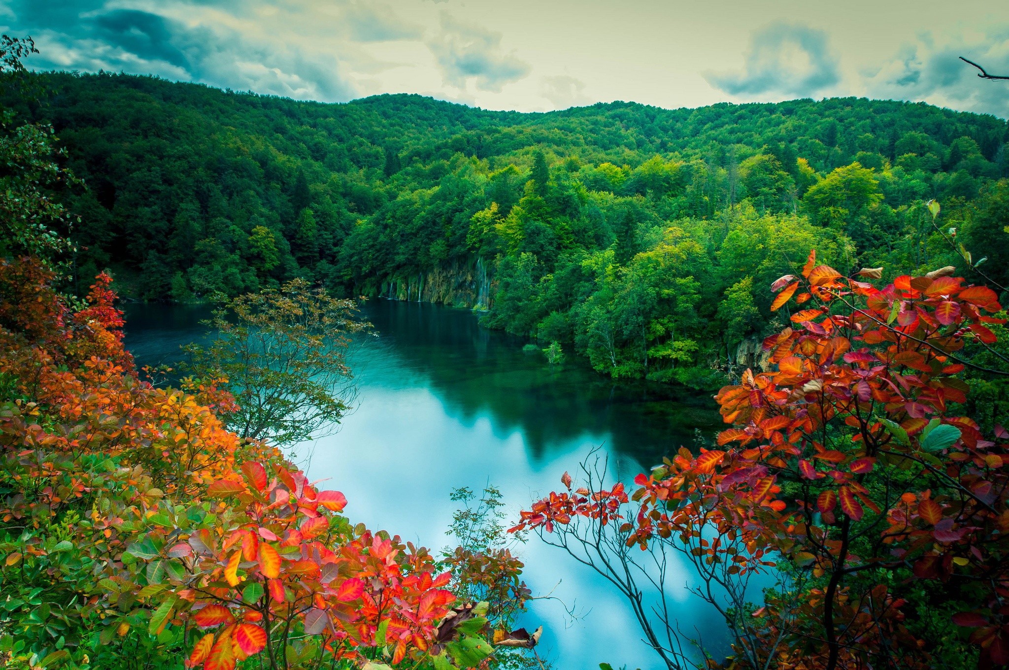 Lake and forest in autumn colors HD Wallpaper