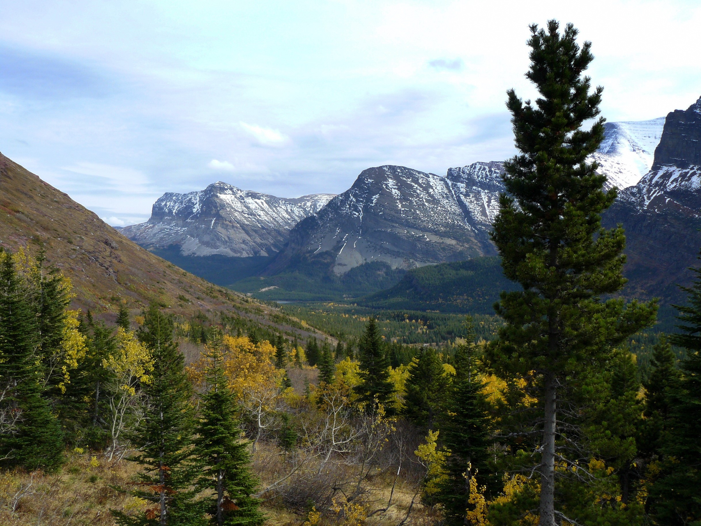 Mountain valley with snow-capped peaks and autumn trees in Glacier National Park, Montana, USA HD Wallpaper