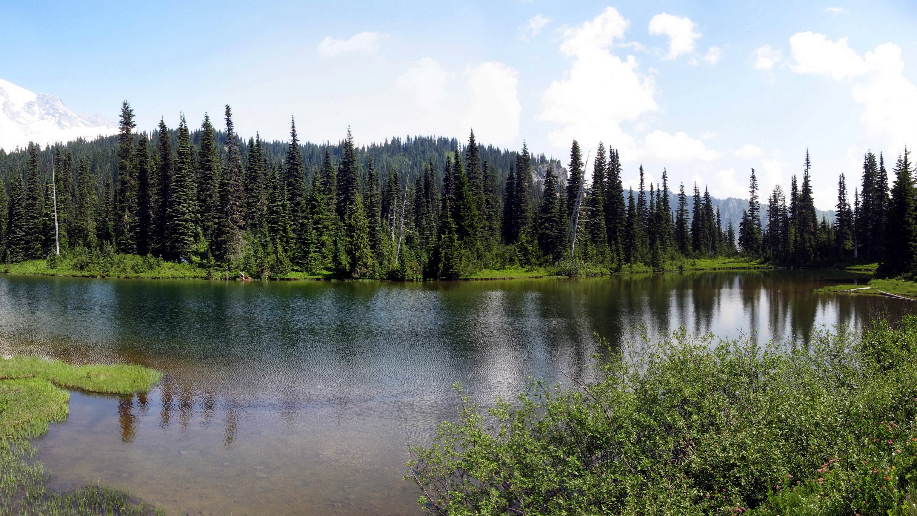 Lake with Evergreen Trees and Mountain in Washington HD Wallpaper