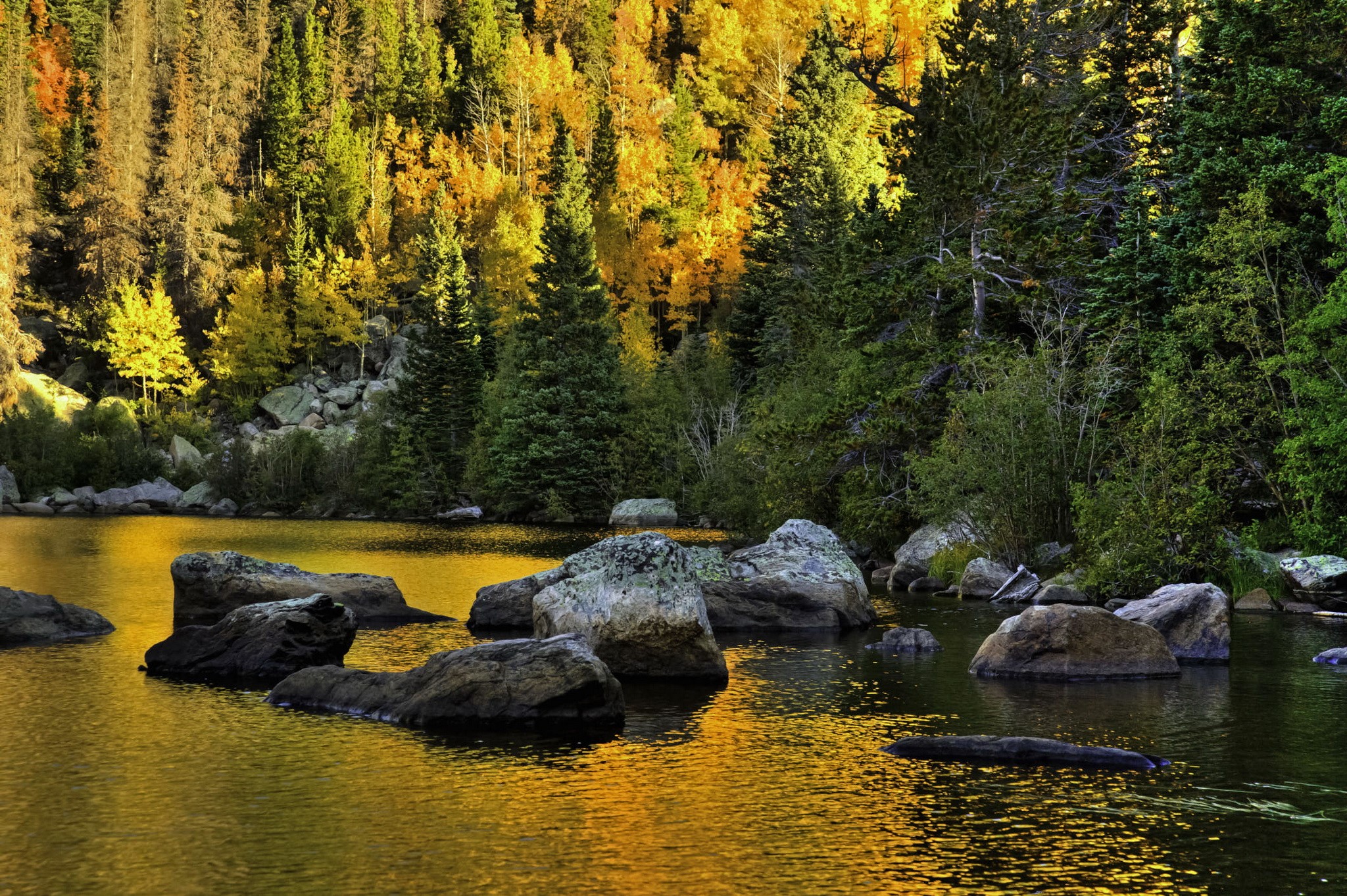 Rocky Mountain National Park Colorado Forest and Lake HD Wallpaper