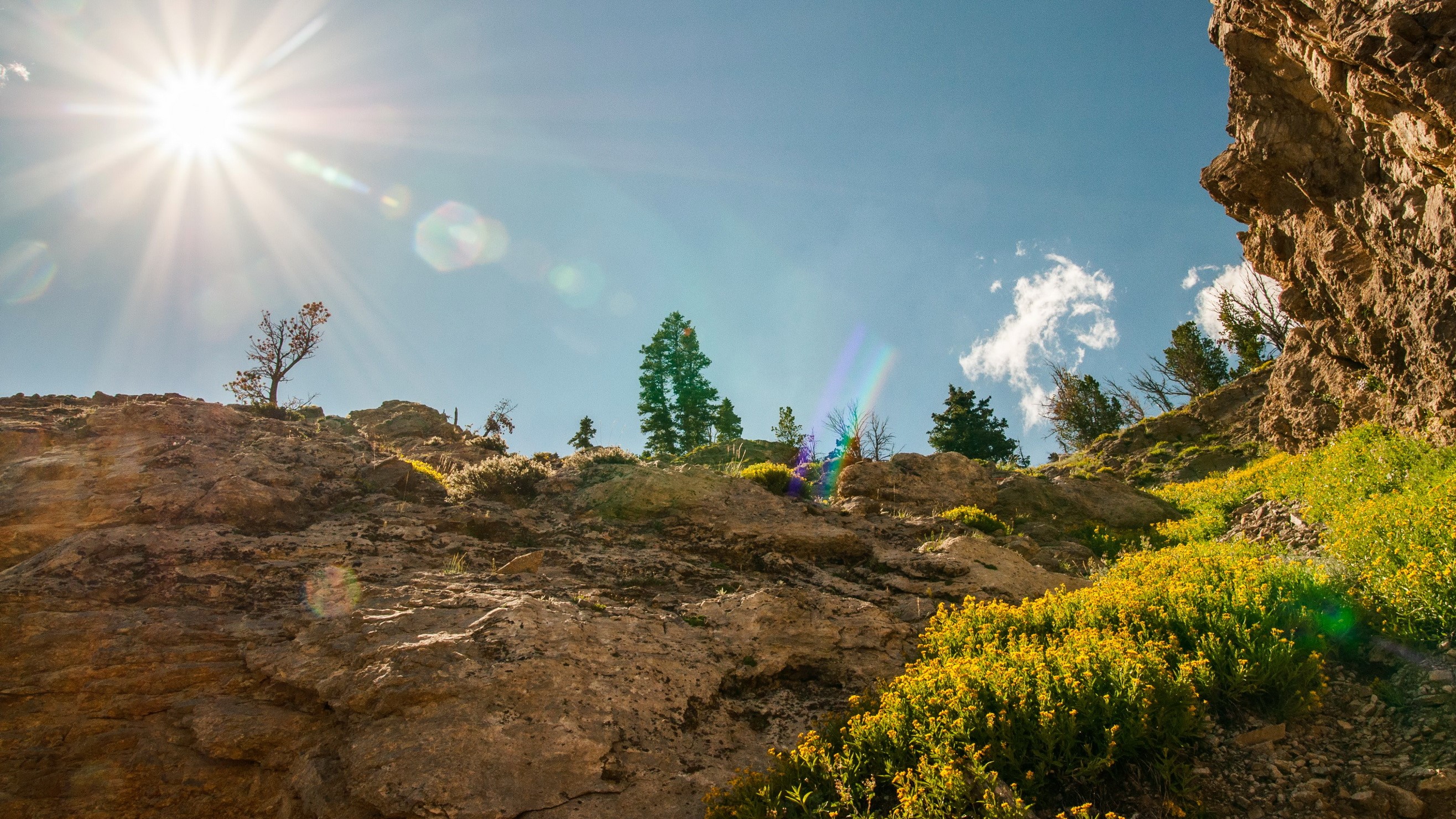 Sun Rays Over Rocky Mountain Landscape with Yellow Flowers HD Wallpaper