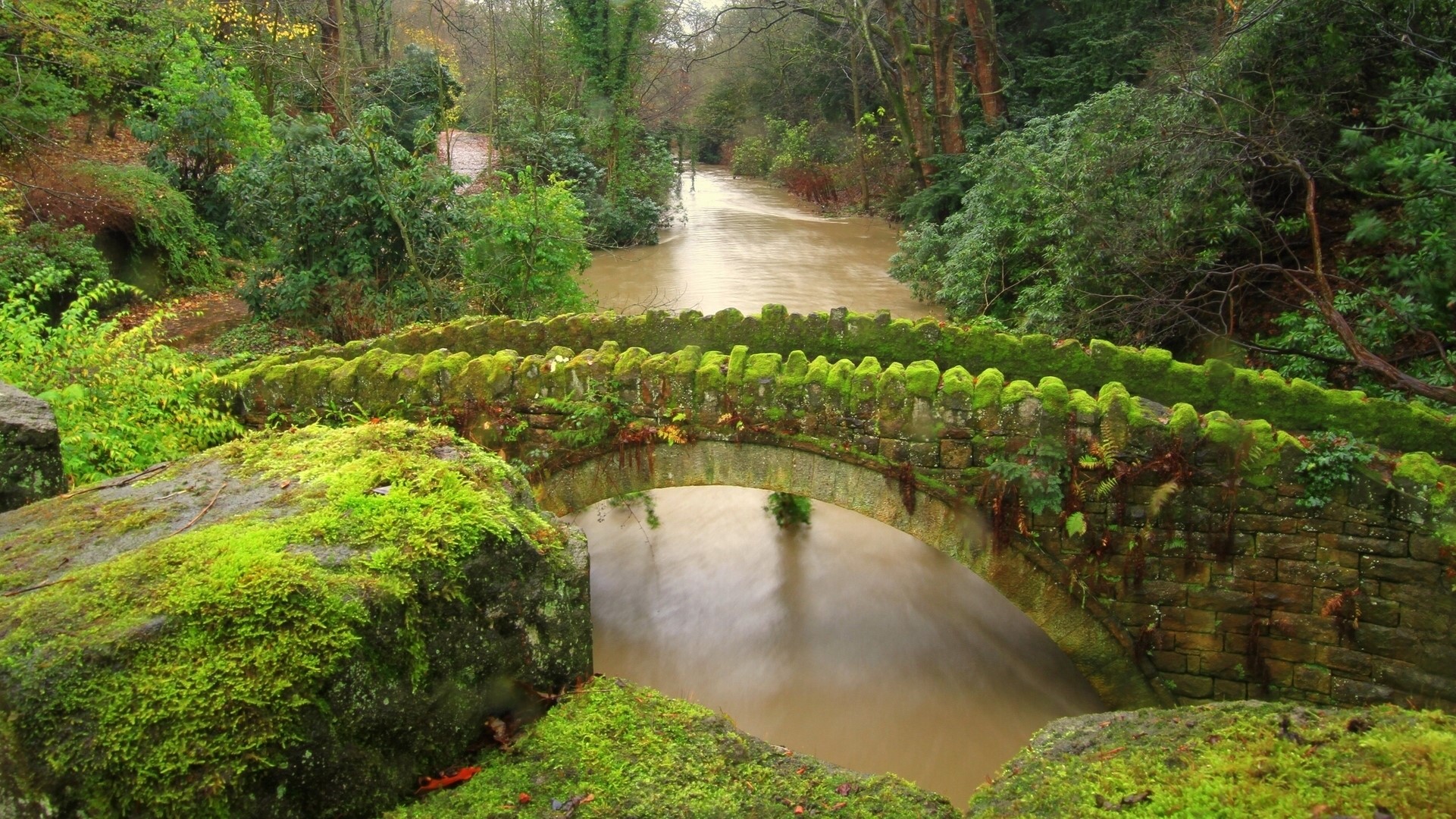 Moss-covered stone bridge over a flooded river in Jesmond Dene, England HD Wallpaper