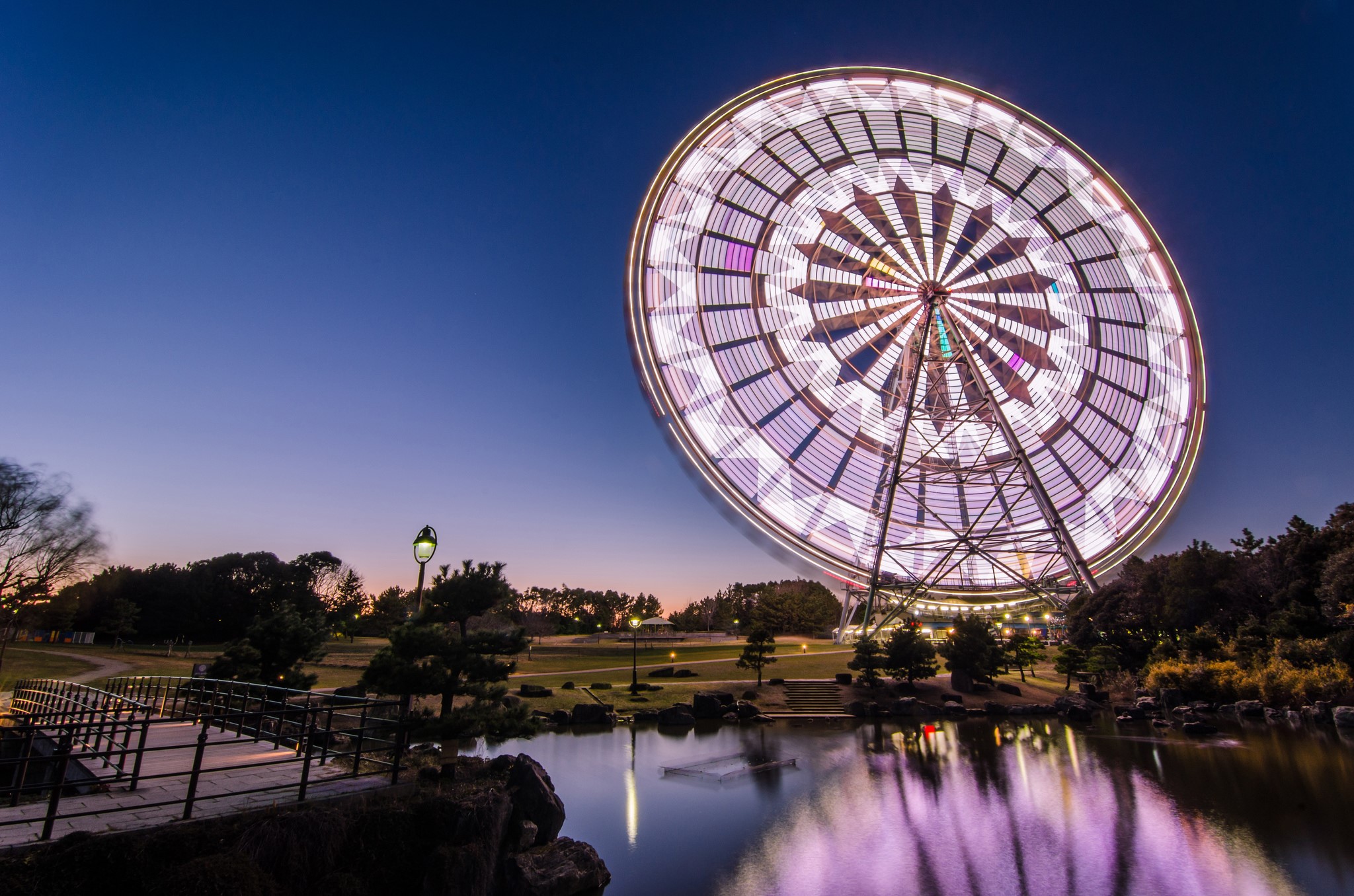 Ferris wheel at night reflected in a pond in a park HD Wallpaper