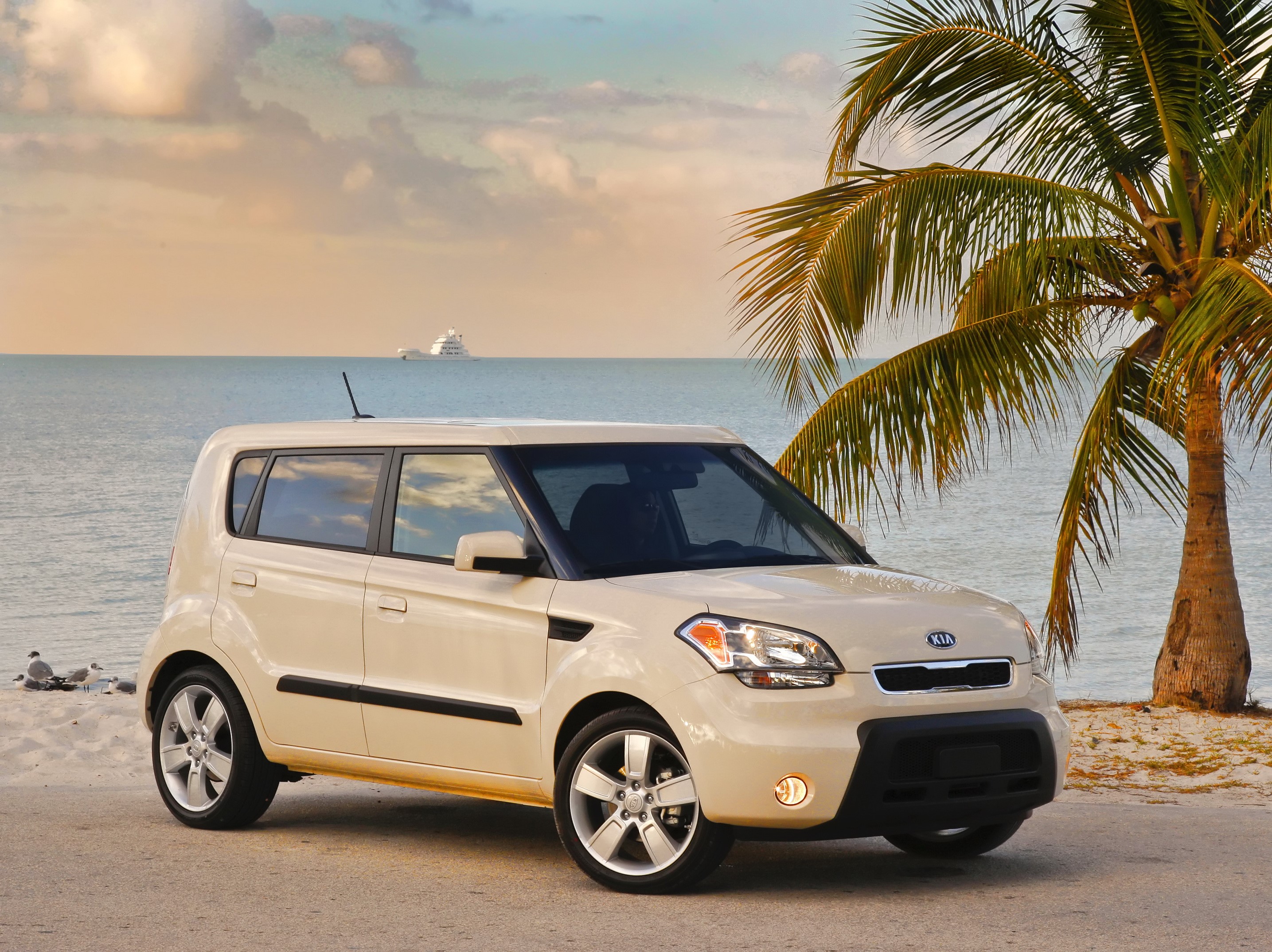 2013 Kia Soul parked by the ocean with palm trees HD Wallpaper