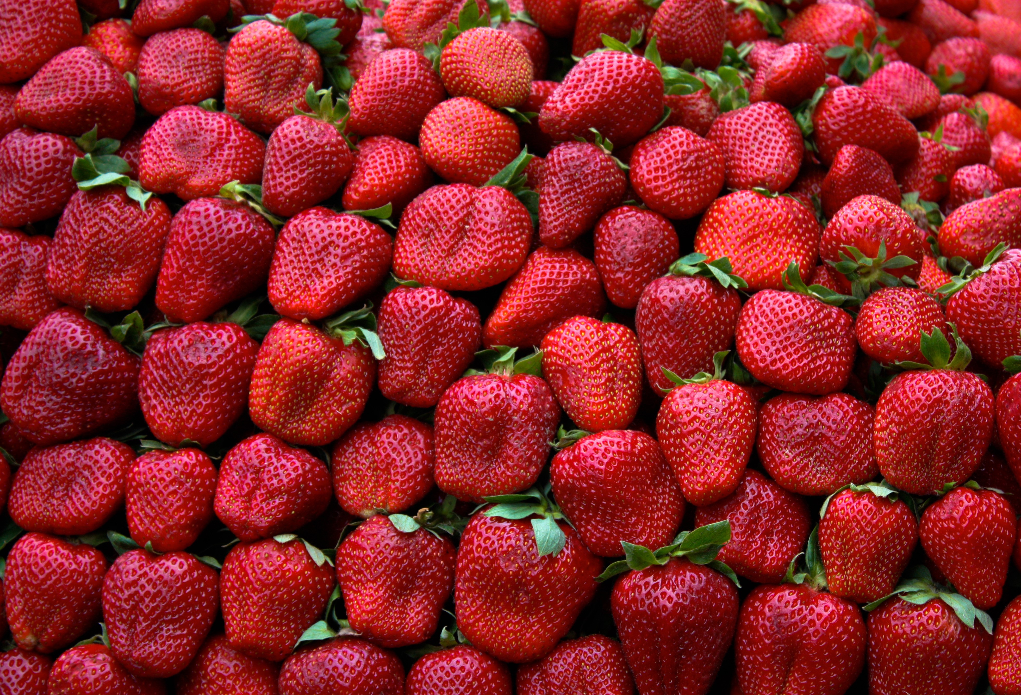 4K Many Strawberries HD Wallpaper