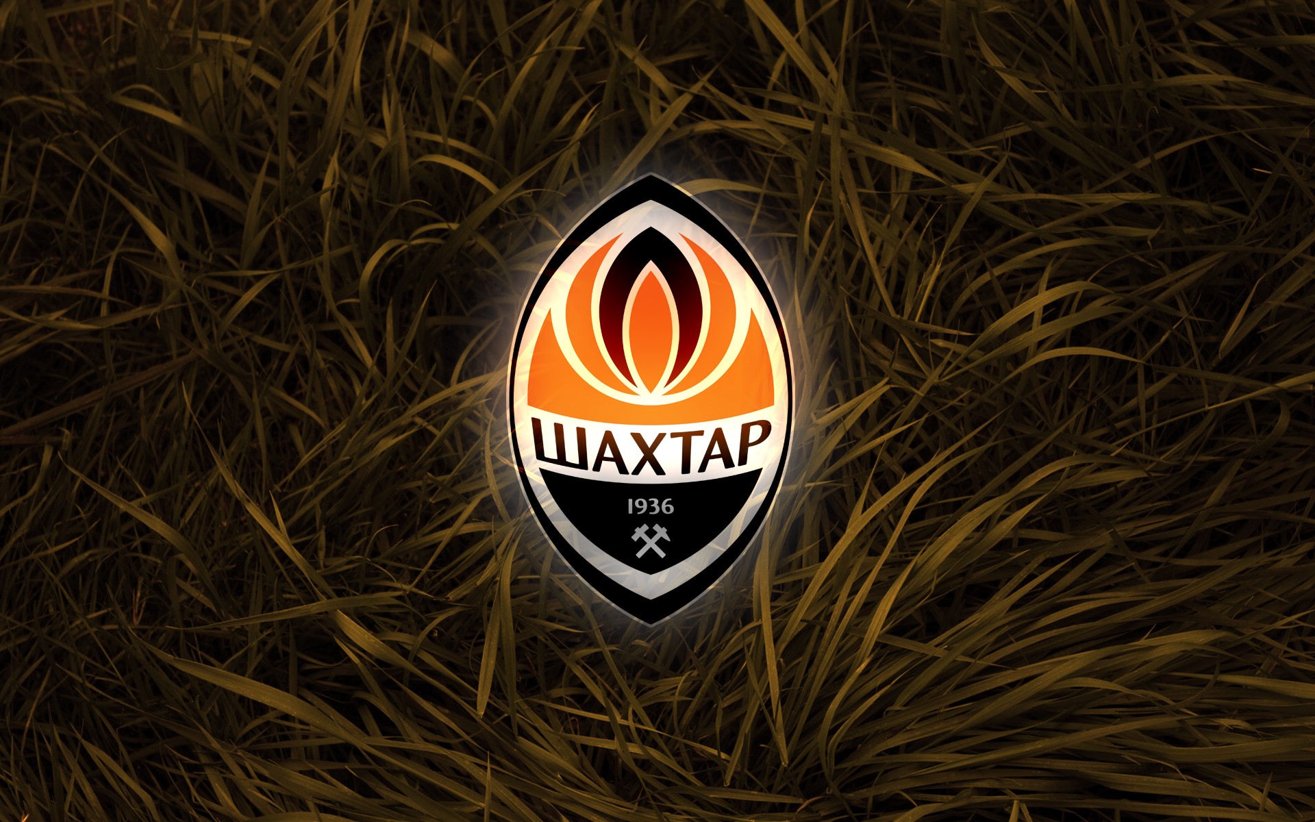 FC Shakhtar Donetsk logo on grass HD Wallpaper