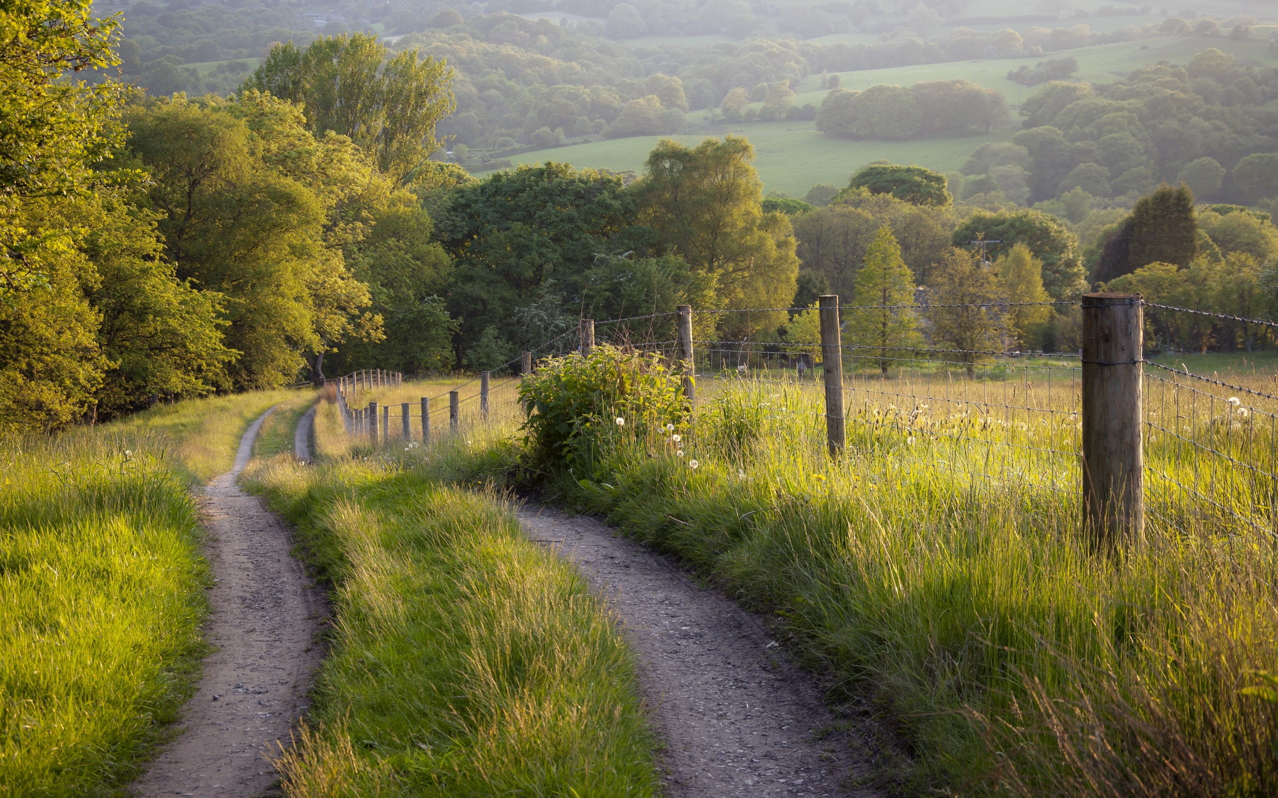 Dirt path through grassy fields with trees and fence HD Wallpaper