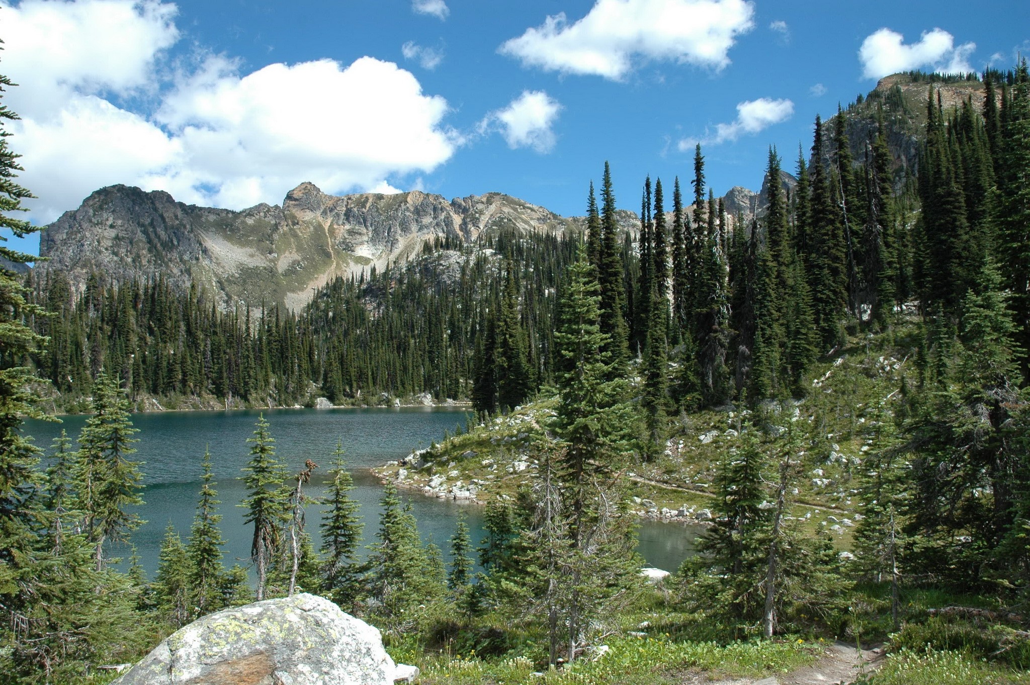 Mount Revelstoke National Park, Canada HD Wallpaper