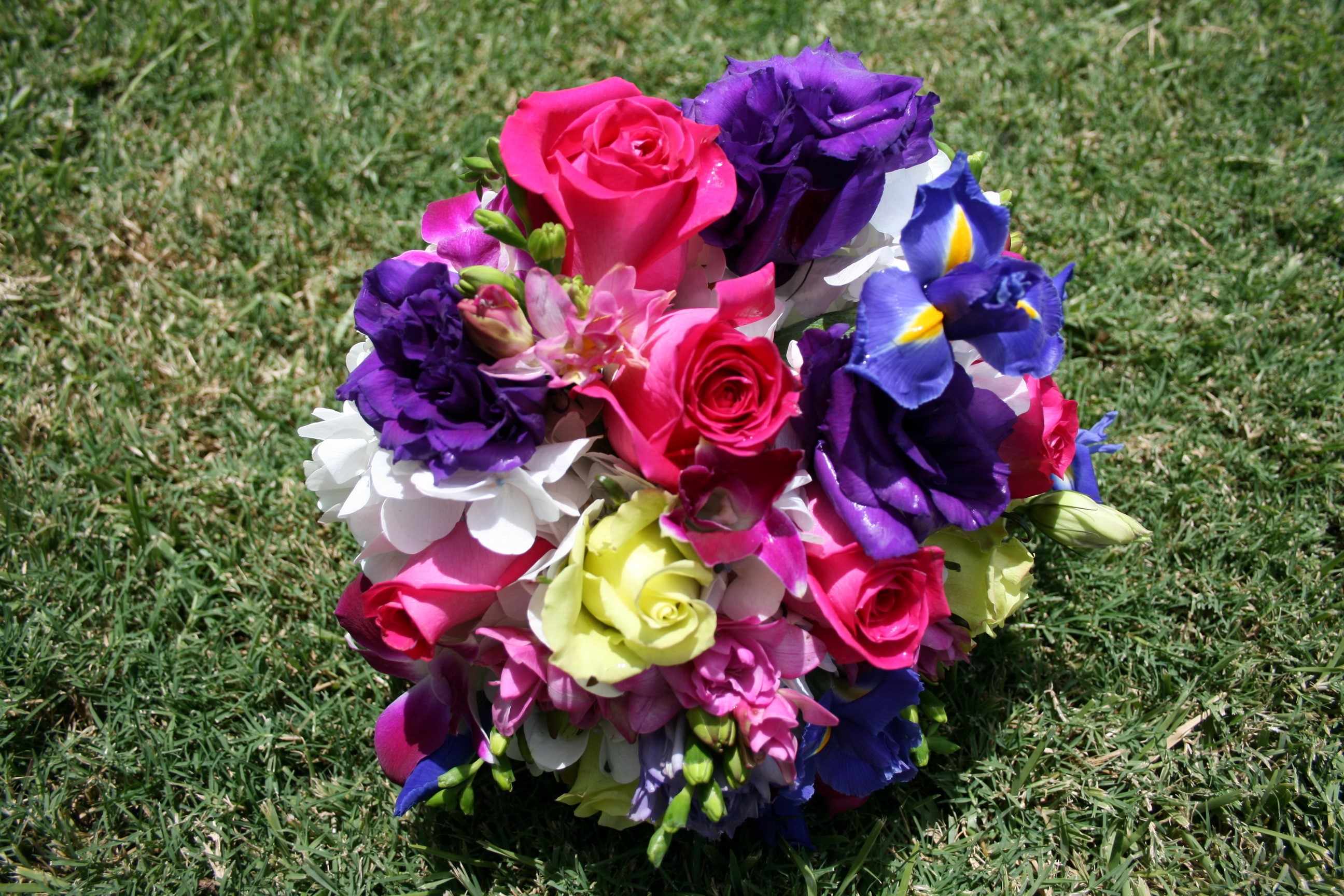 Bouquet of Roses and Irises on Grass HD Wallpaper