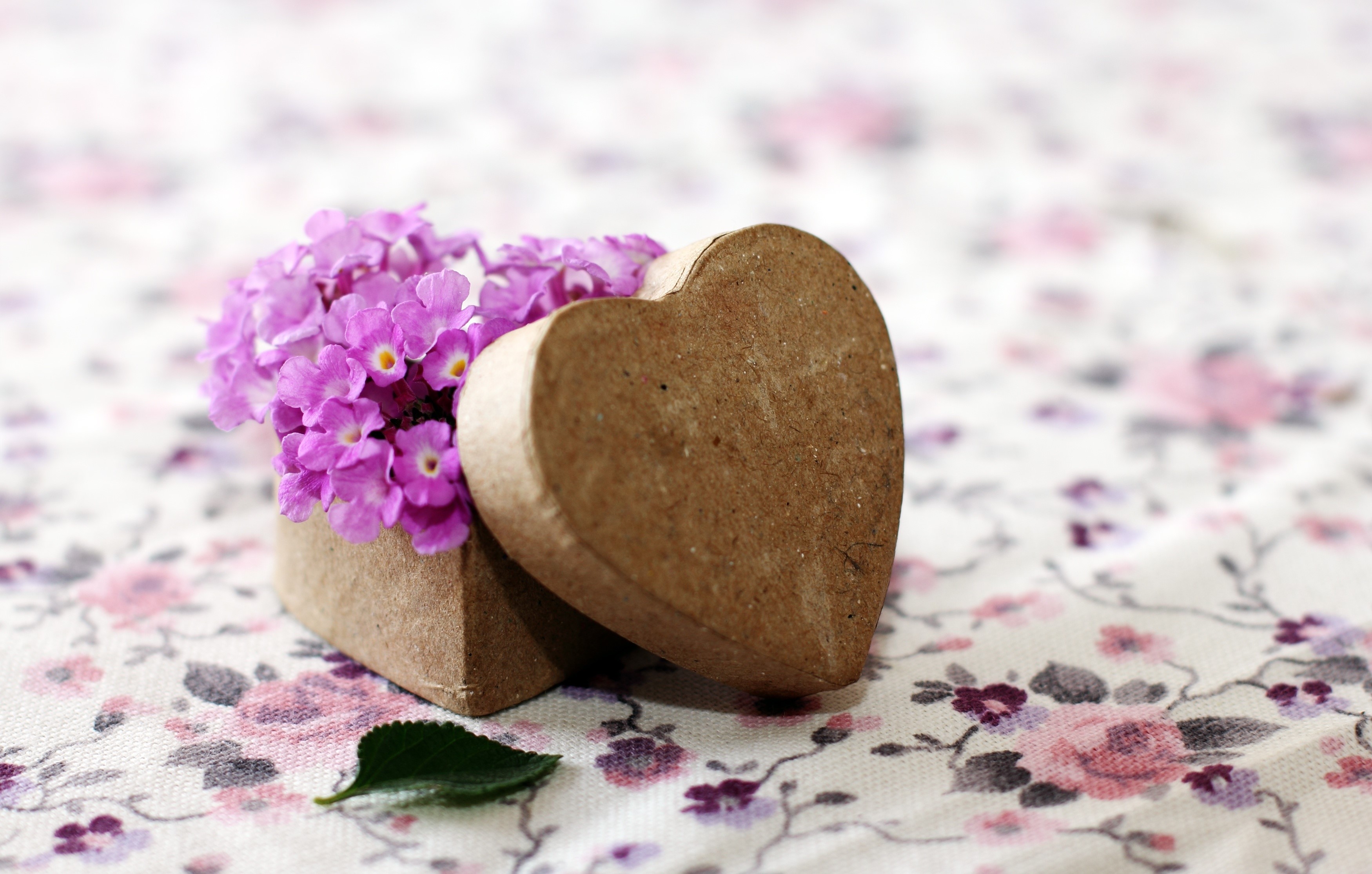 Heart-shaped box with purple flowers HD Wallpaper